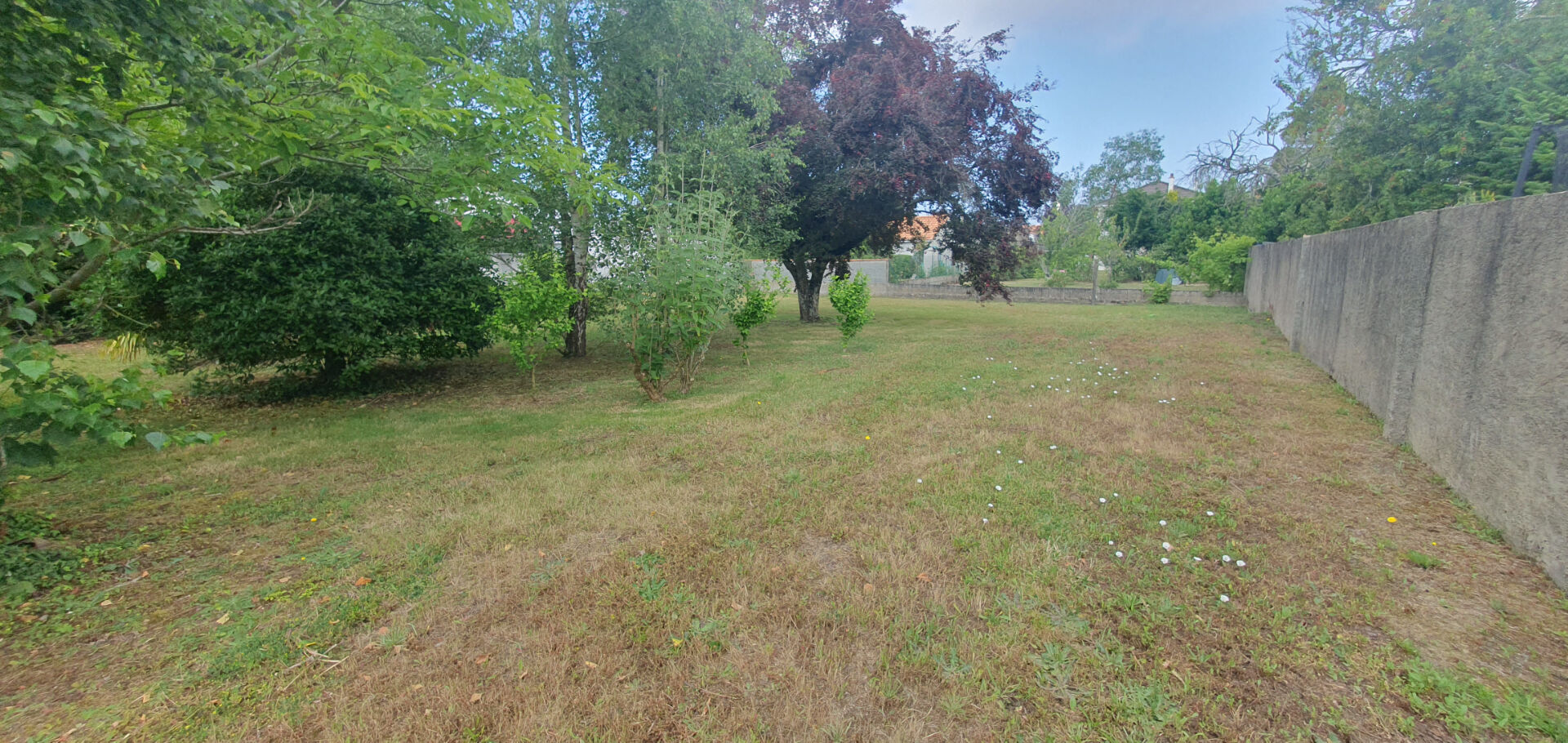 image_11