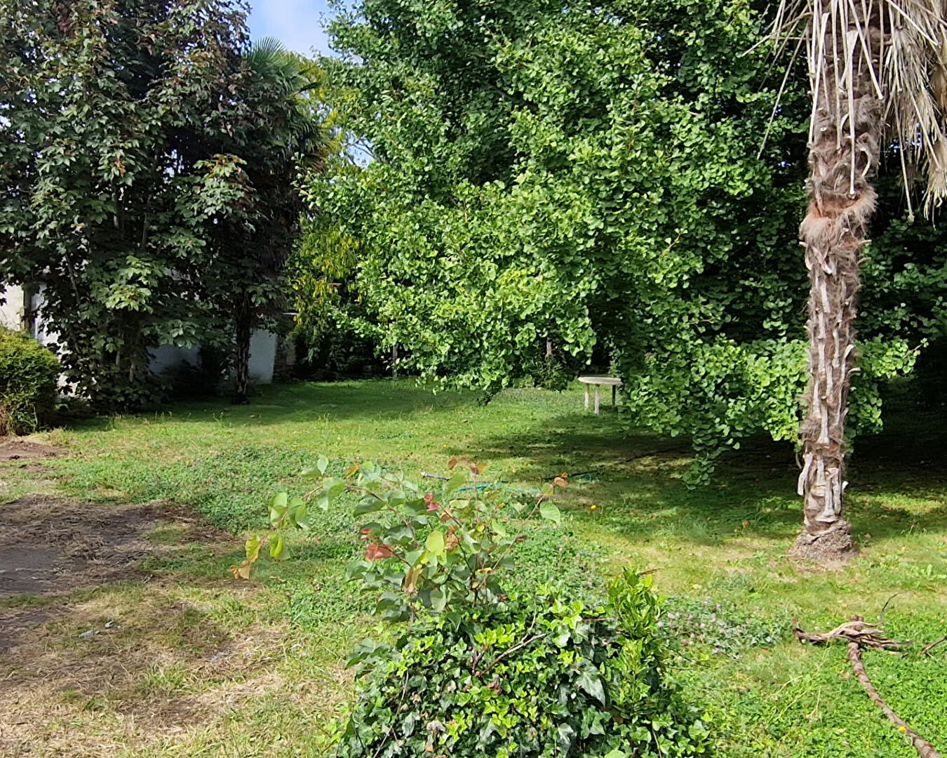 image_1