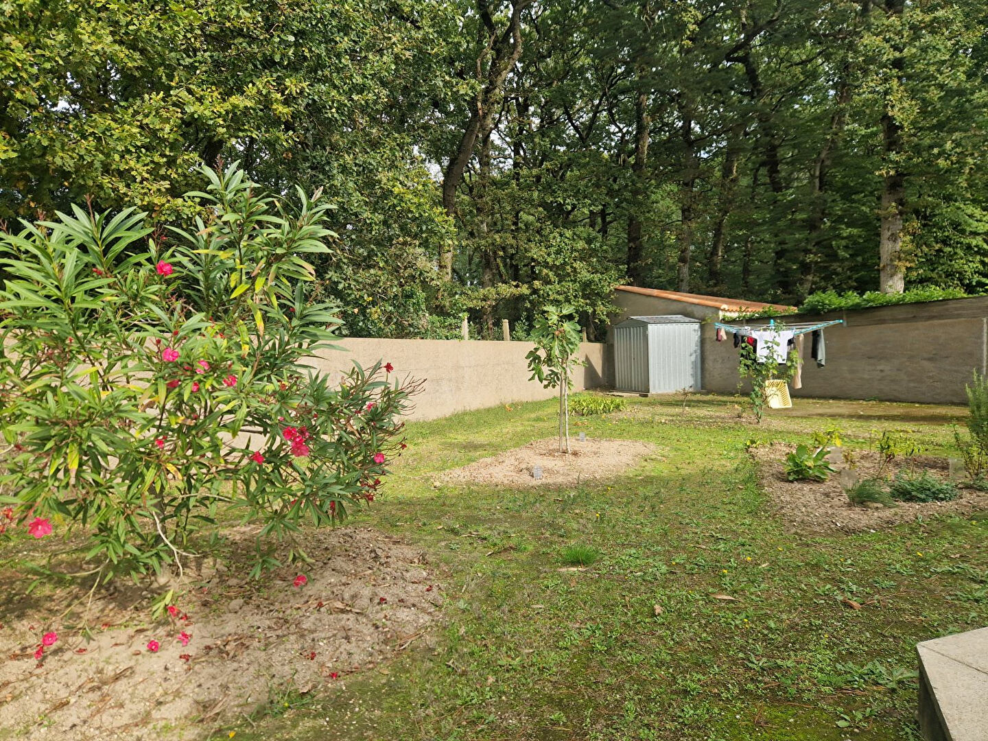 image_9
