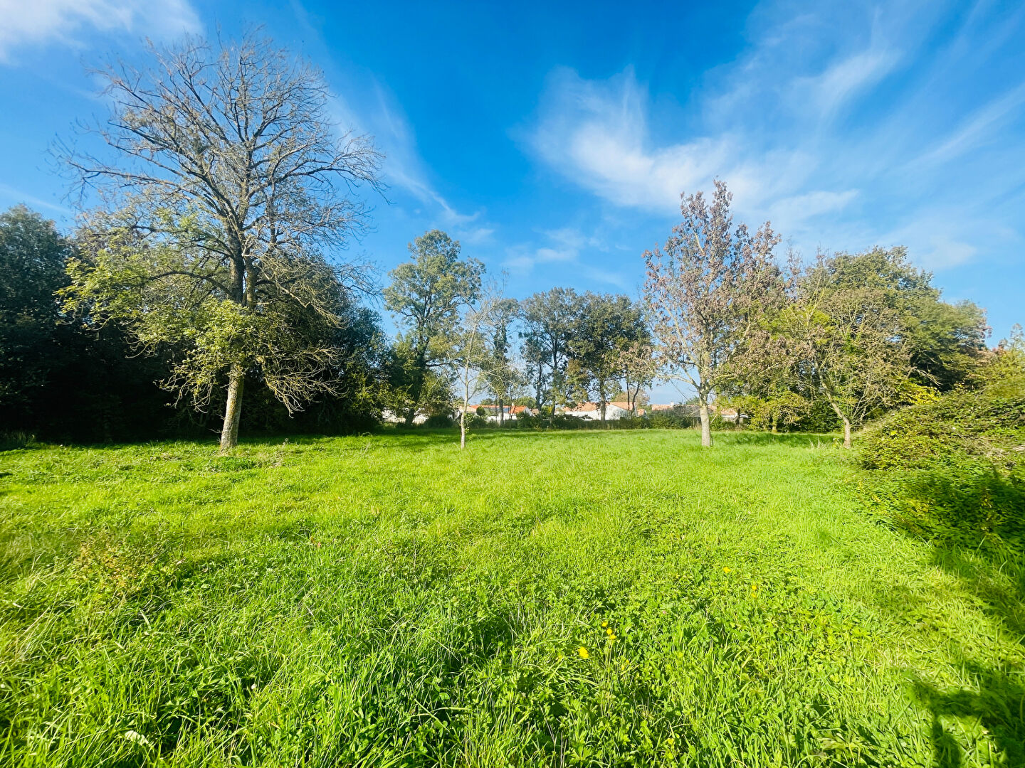 Agence immobilière de ROCHER IMMOBILIER Challans