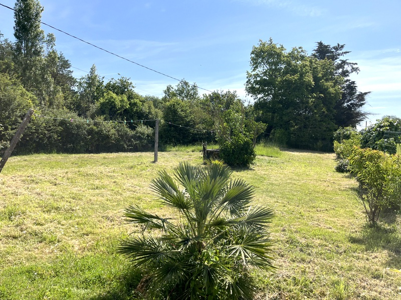 image_1