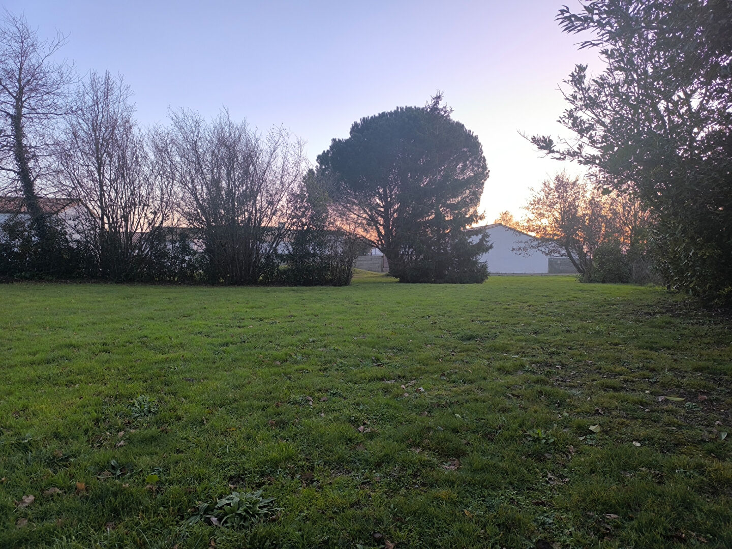 Vente terrain saint mathurin : vue 1 Vente terrain saint mathurin : vue 1 - Rocher Immobilier