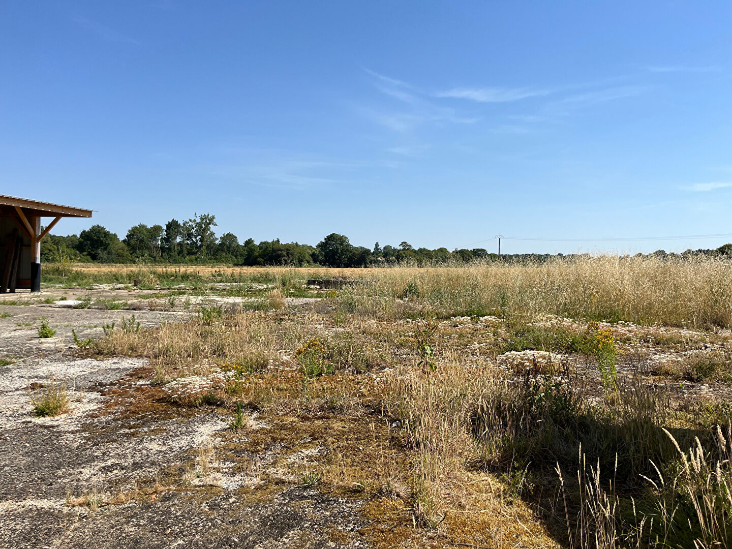 image_4