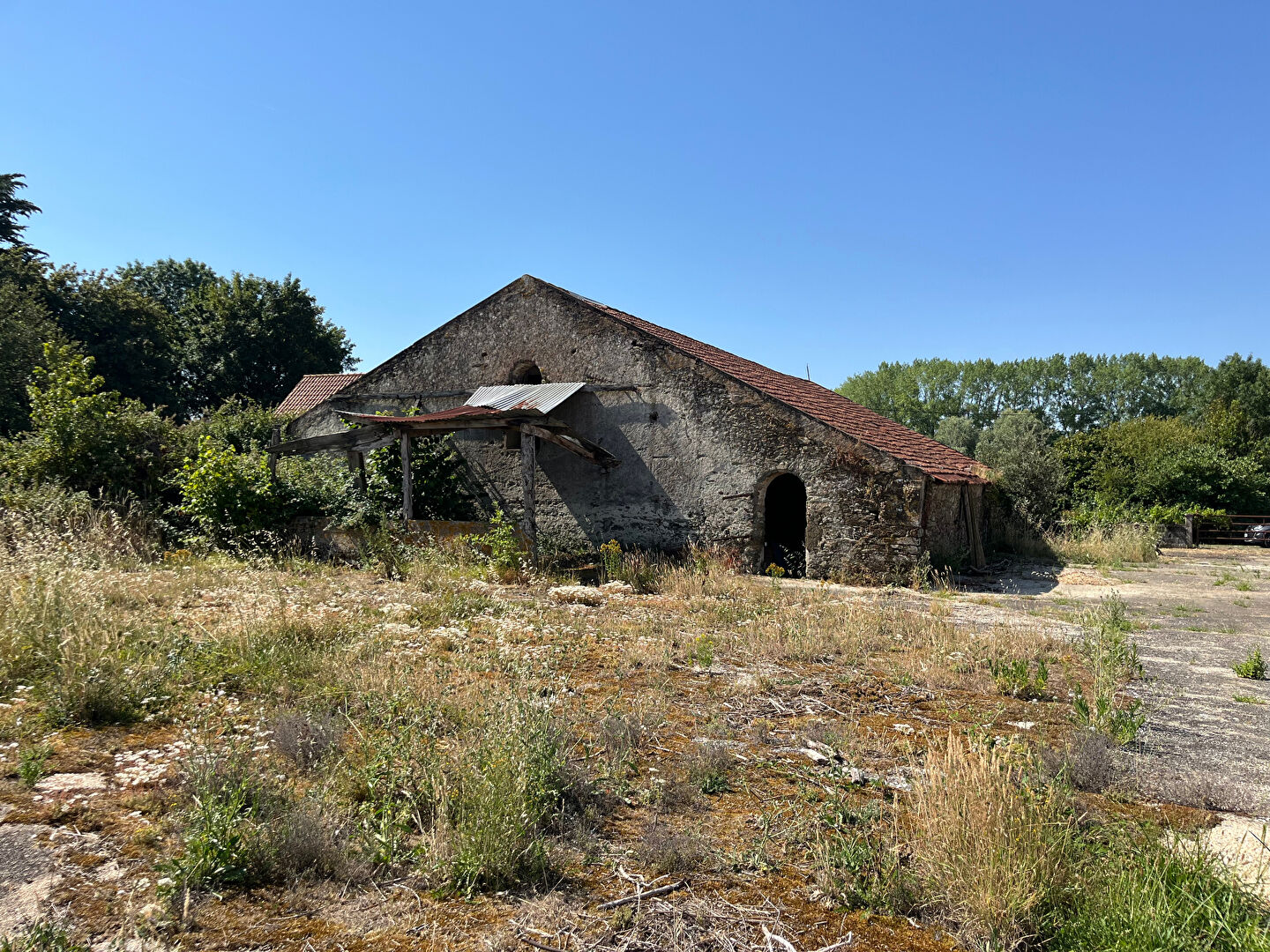 image_5