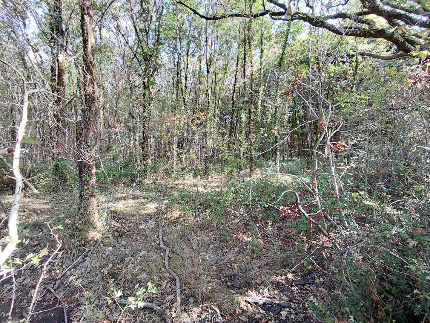 Vente terrain challans : vue 4 Vente terrain challans : vue 4 - Rocher Immobilier
