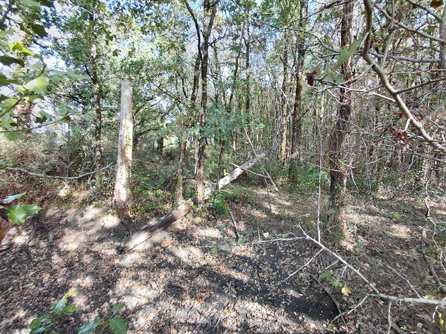 Vente terrain challans : vue 5 Vente terrain challans : vue 5 - Rocher Immobilier