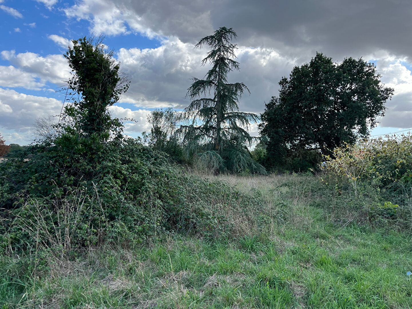 Vente maison saint christophe du ligneron : vue 5 Vente maison saint christophe du ligneron : vue 5 - Rocher Immobilier