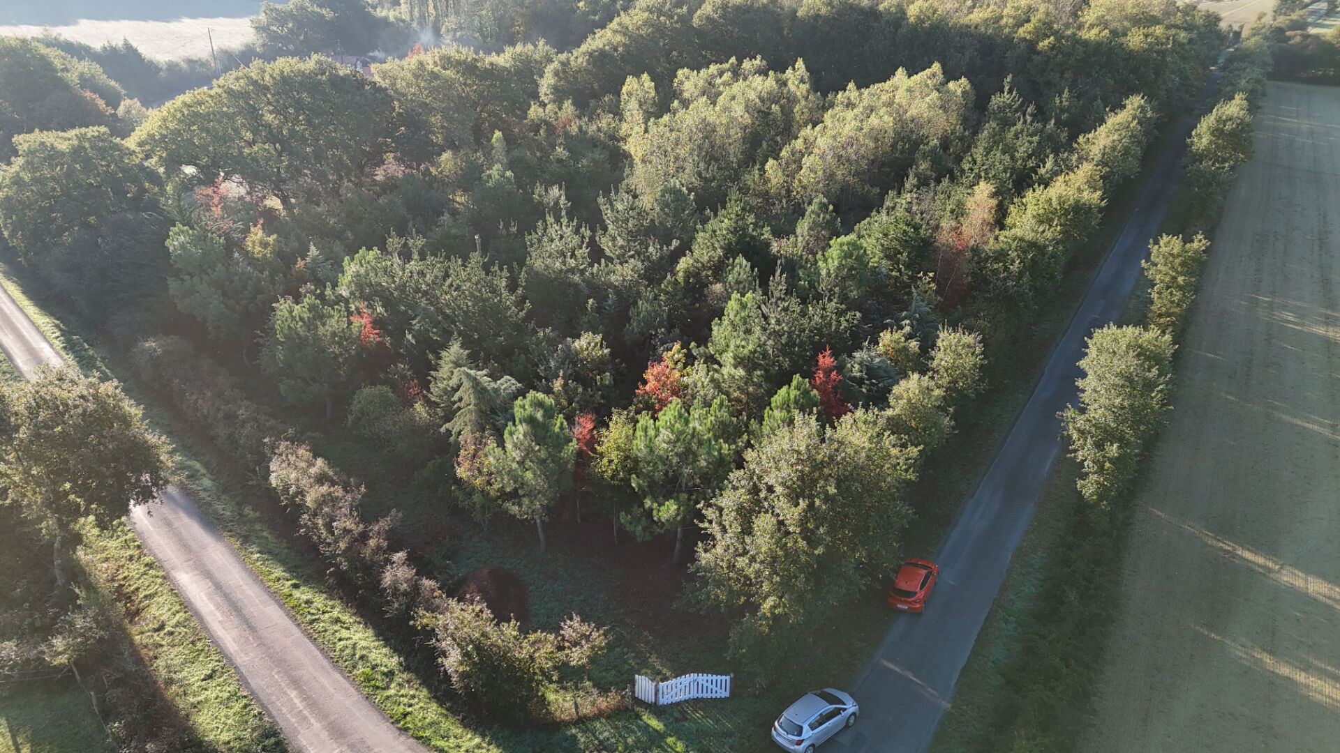 Terrain La Garnache 8230 m2