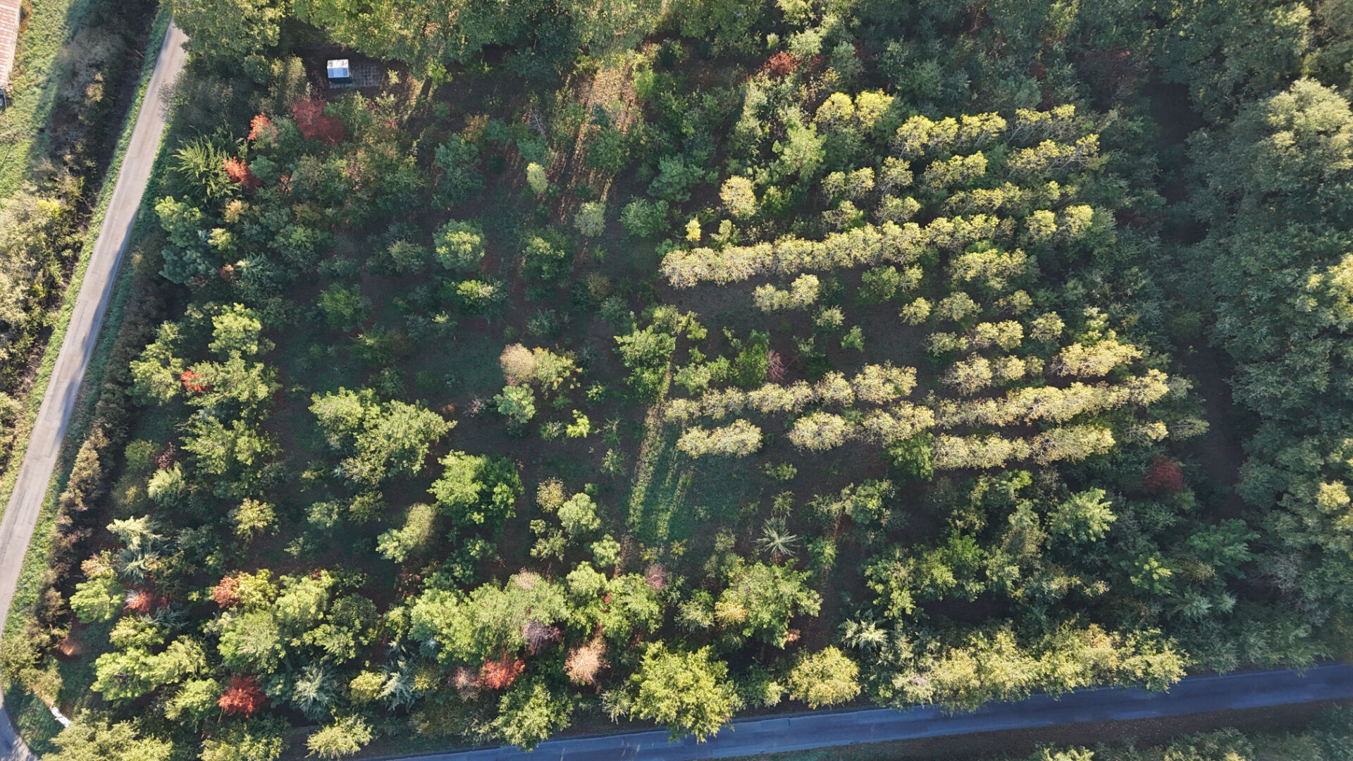 Vente terrain la garnache : vue 1 Vente terrain la garnache : vue 1 - Rocher Immobilier