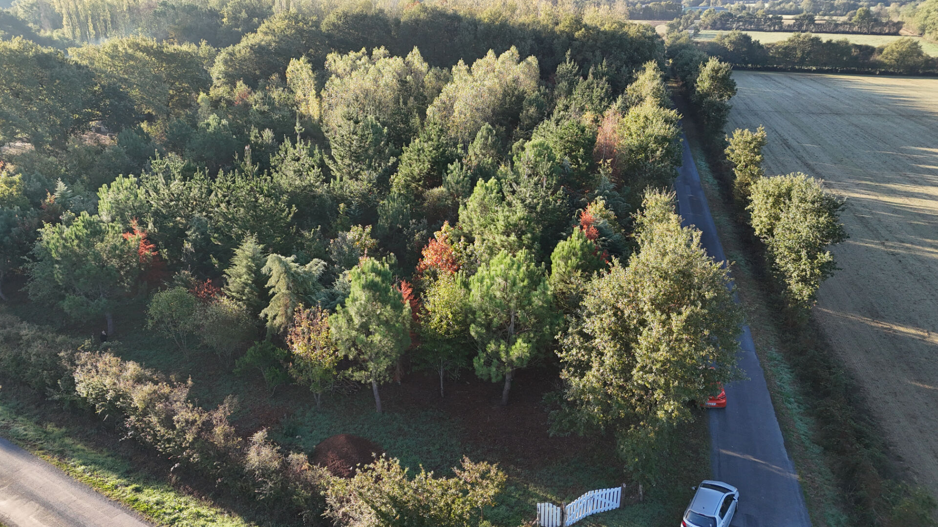 Vente terrain la garnache : vue 2 Vente terrain la garnache : vue 2 - Rocher Immobilier