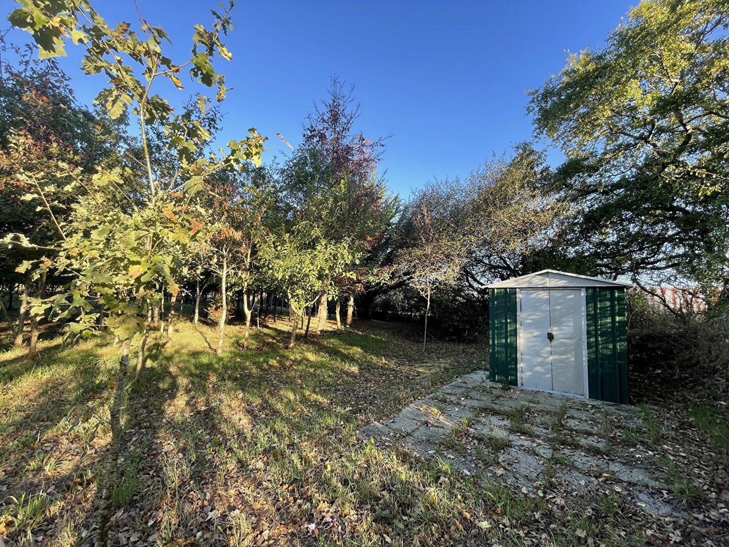 Vente terrain la garnache : vue 3 Vente terrain la garnache : vue 3 - Rocher Immobilier