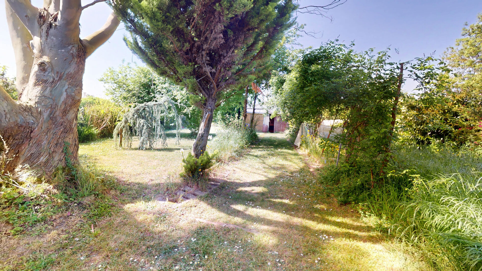 Photo MAISON EN PIERRES DE 131 M2 - VIE DE PLAIN PIED - 5 KMS DE BAYEUX SUD image 4/6