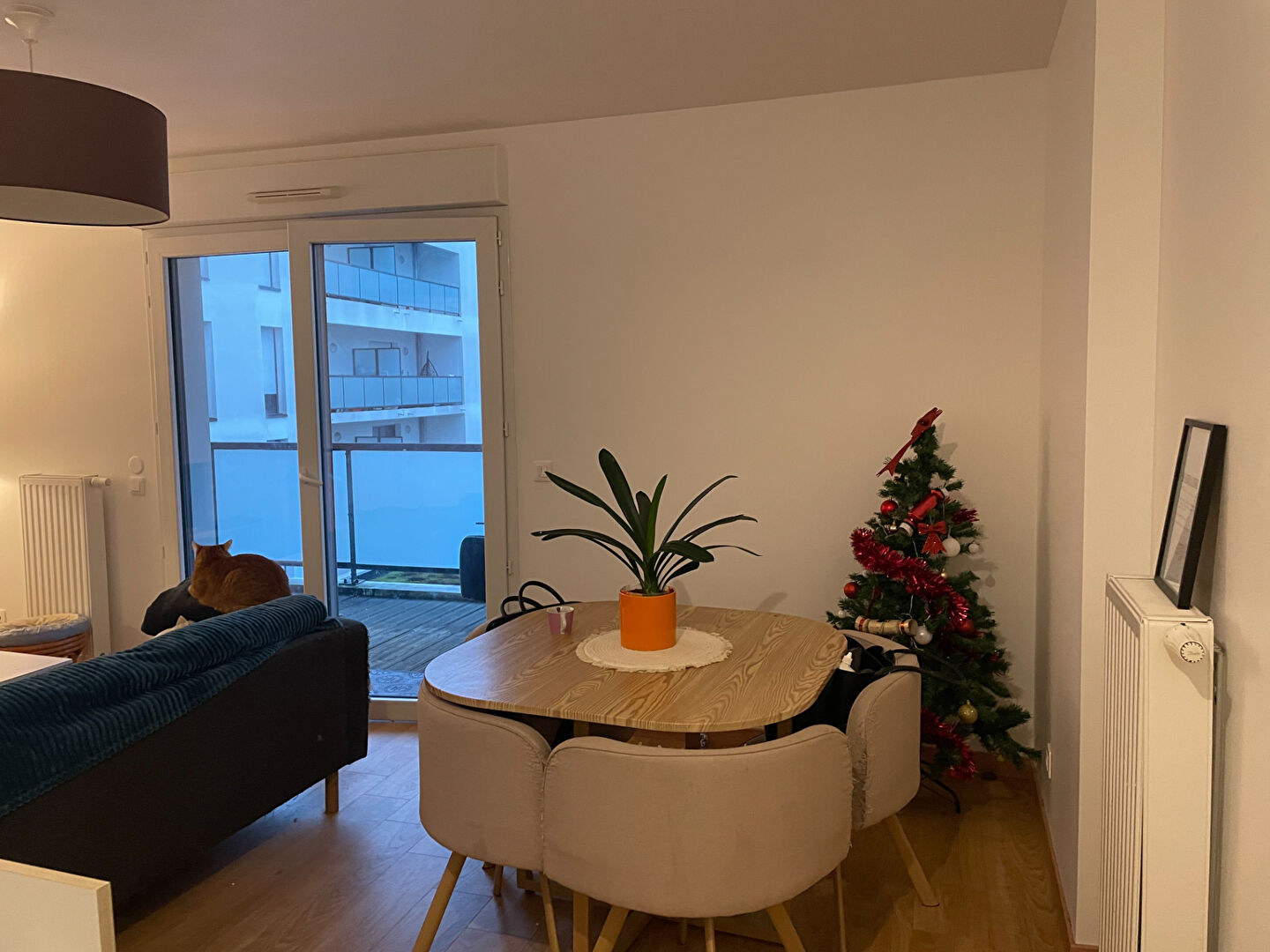 Photo Appartement  2 pièce(s) avec terrasse + parking image 3/6