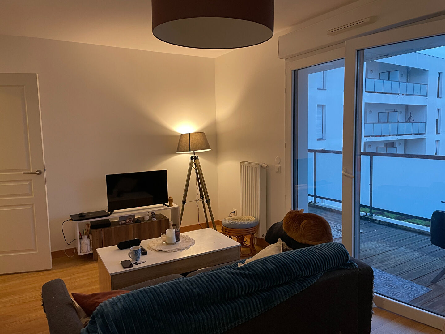 Photo Appartement  2 pièce(s) avec terrasse + parking image 4/6