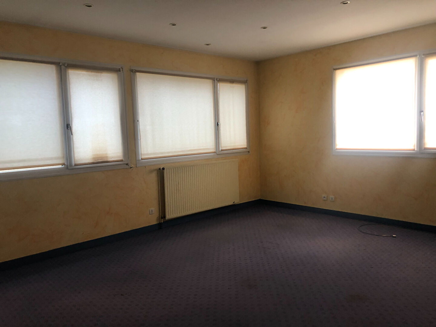 Photo Bureaux 520m² image 2/6