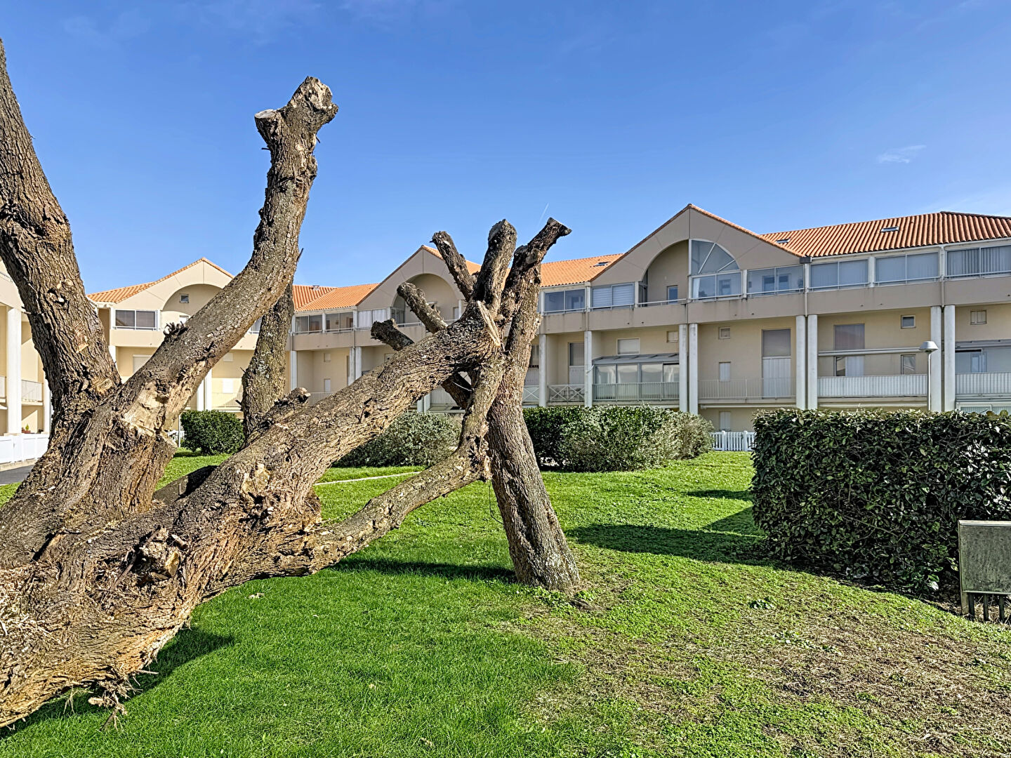 Agence immobilière de SALVERT CABINET CONSEIL Atlantique