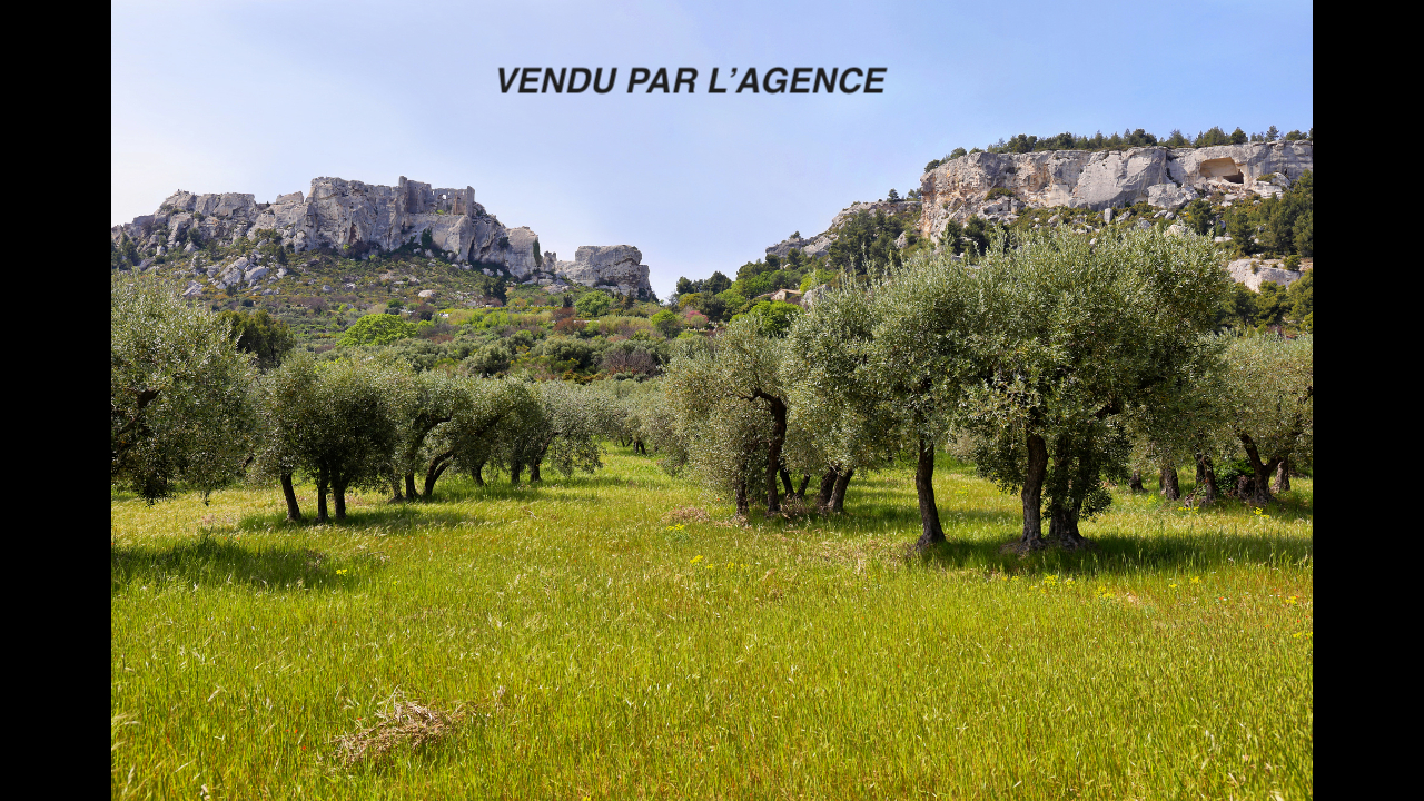 Agence immobilière de TYX Confidentiel - TYX IMMO CONFIDENTIEL