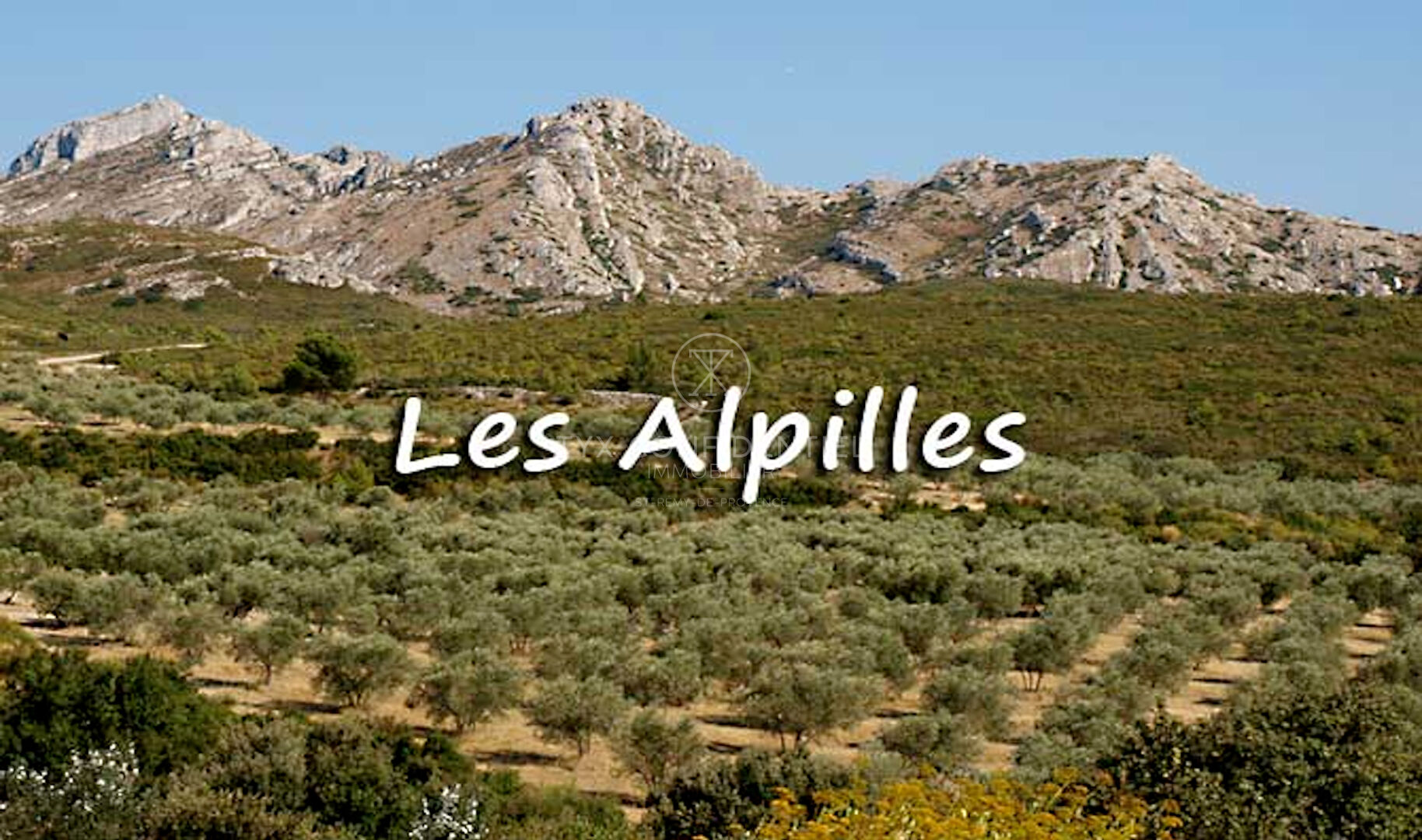 Agence immobilière de TYX Confidentiel - TYX IMMO CONFIDENTIEL