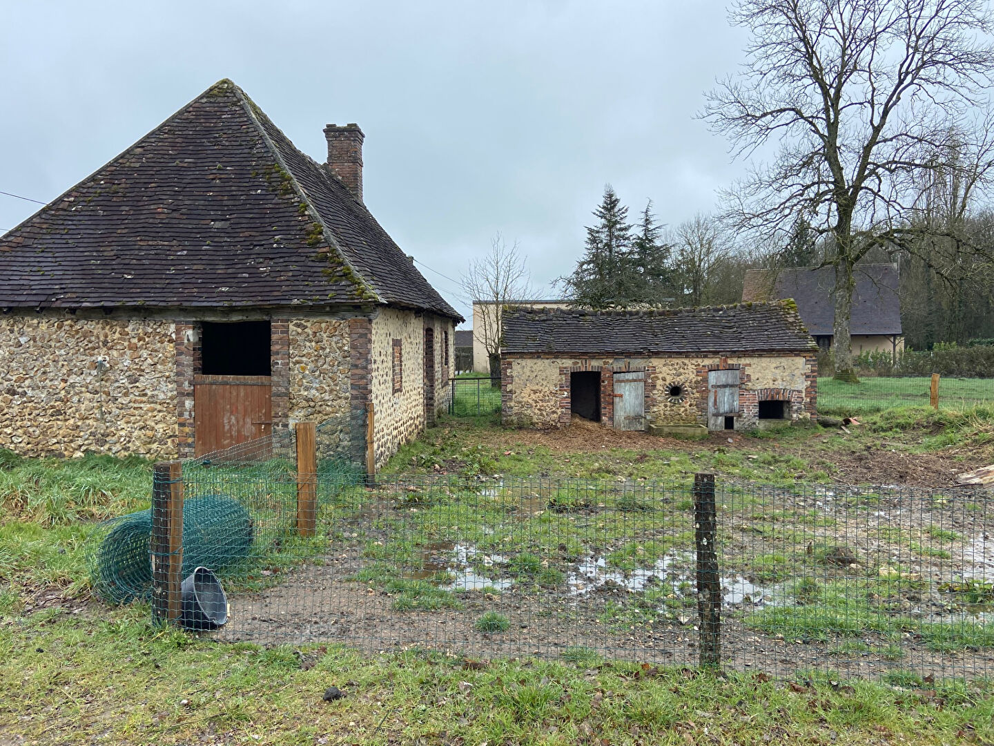Photo Havre de paix à la lisière de la forêt plus d'un hectare de terrain image 2/6