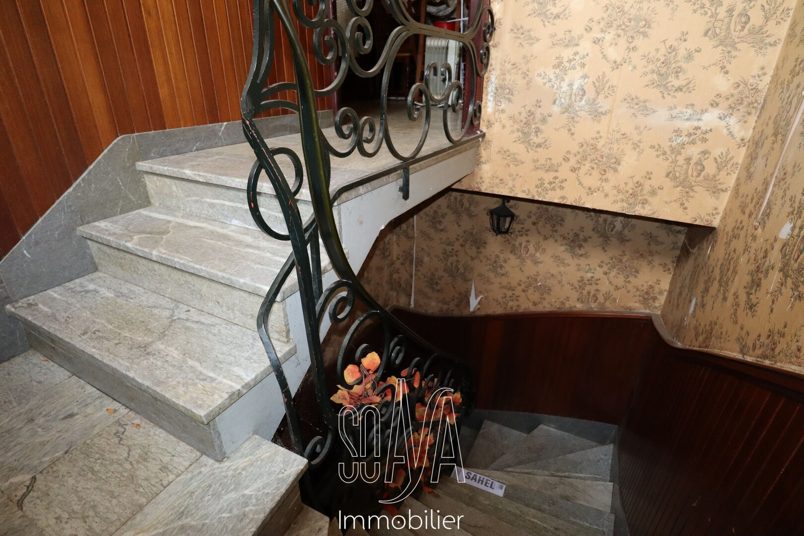 Photo Beau potentiel ! image 6/6