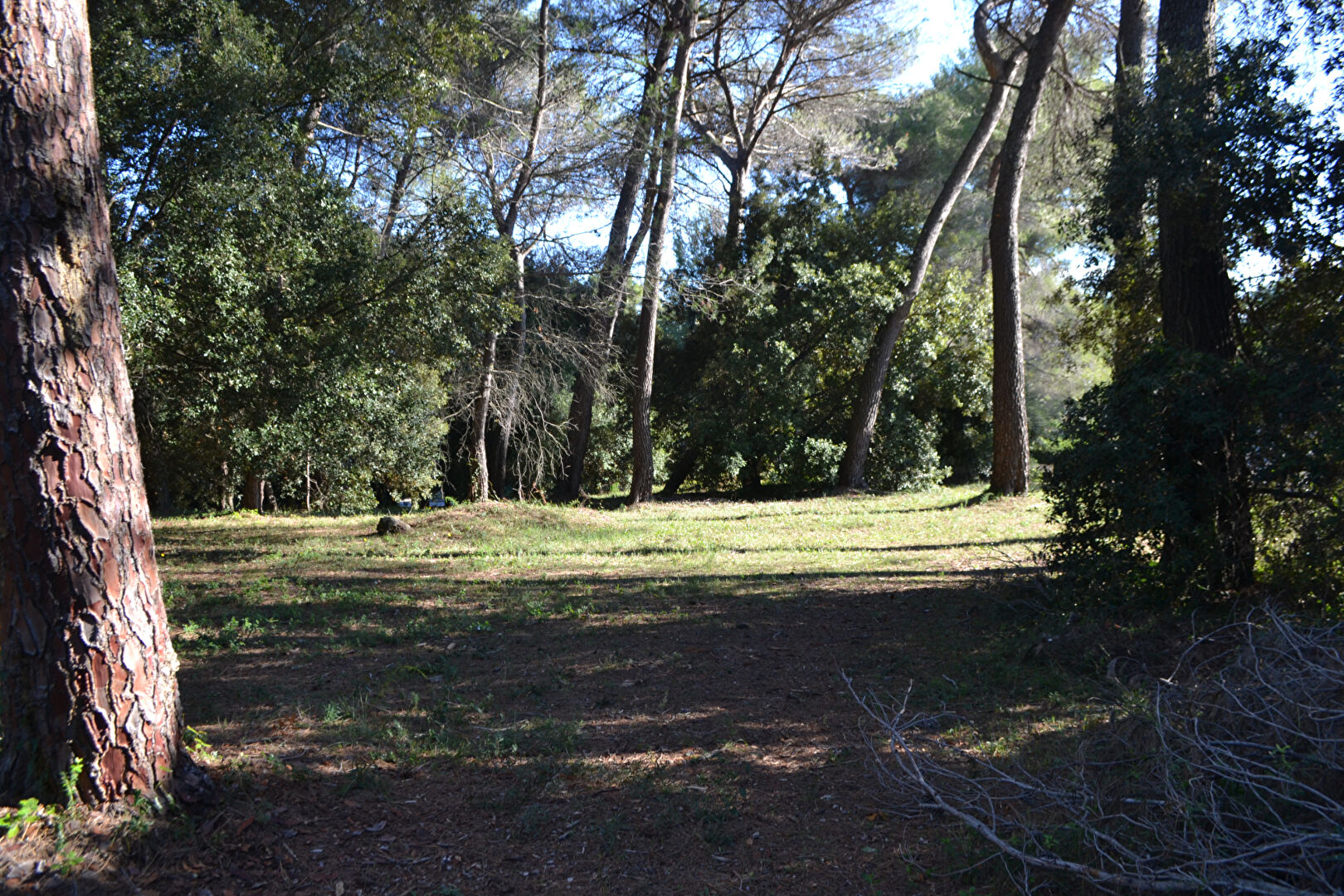 Agence immobilière de SOIL IMMOBILIER Le pouliguen