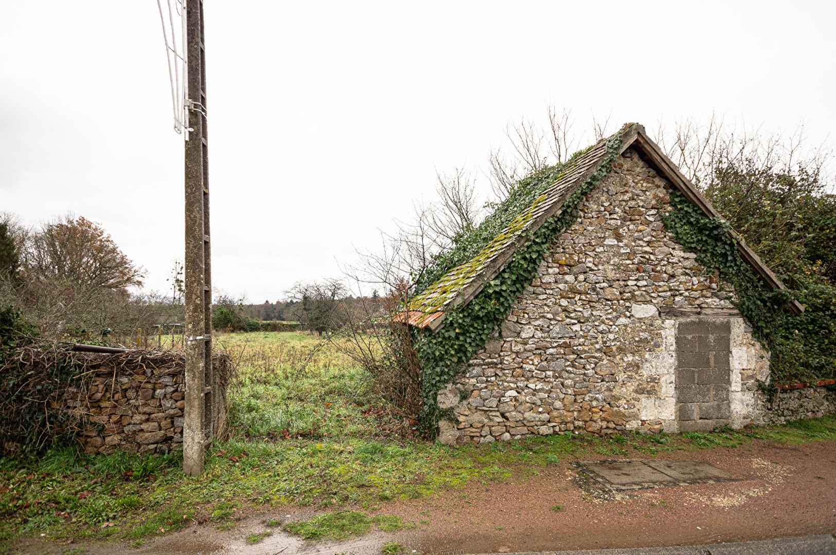 Photo Terrain  1056 m2 image 2/4