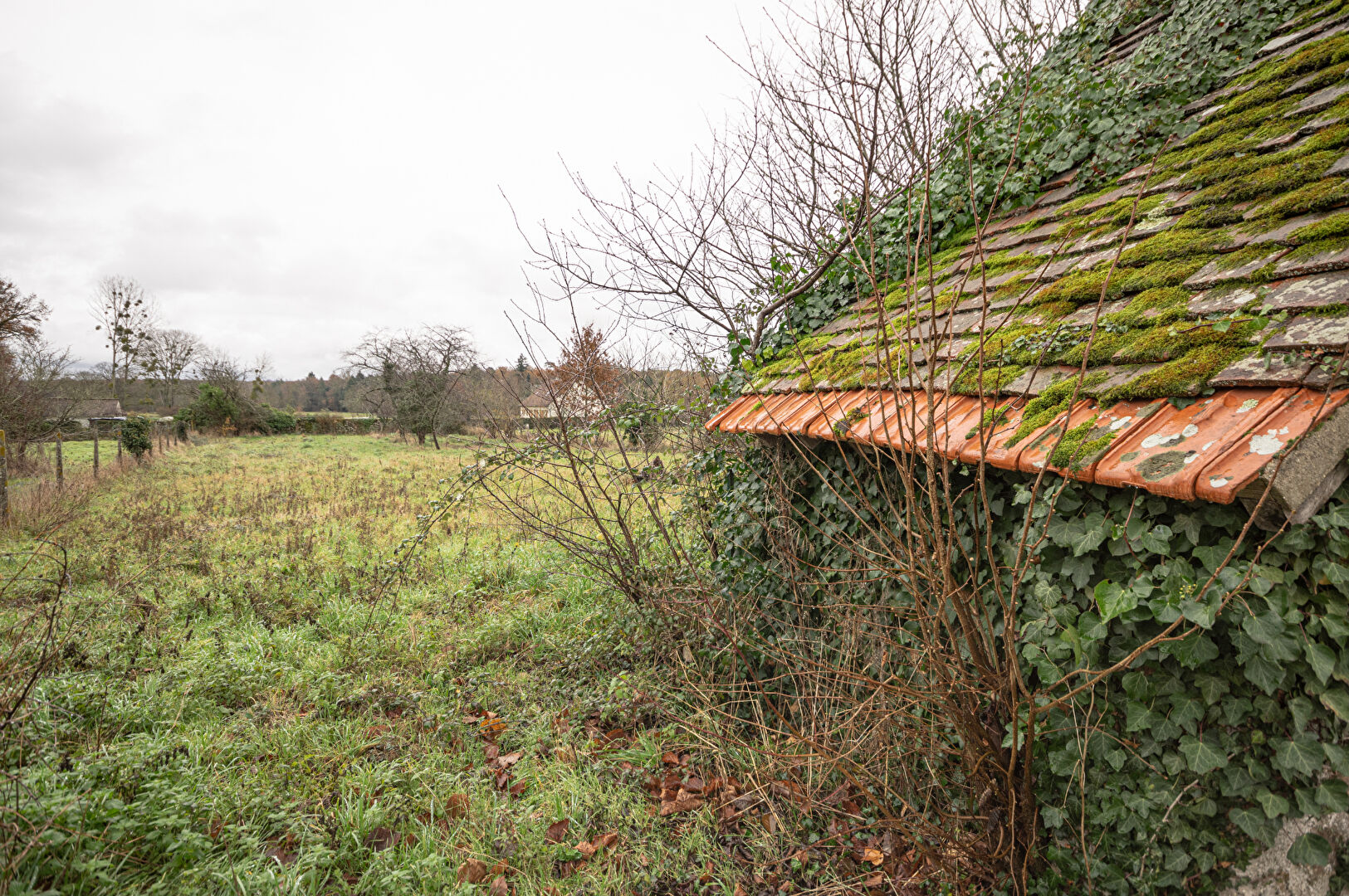 Photo Terrain  1056 m2 image 3/4