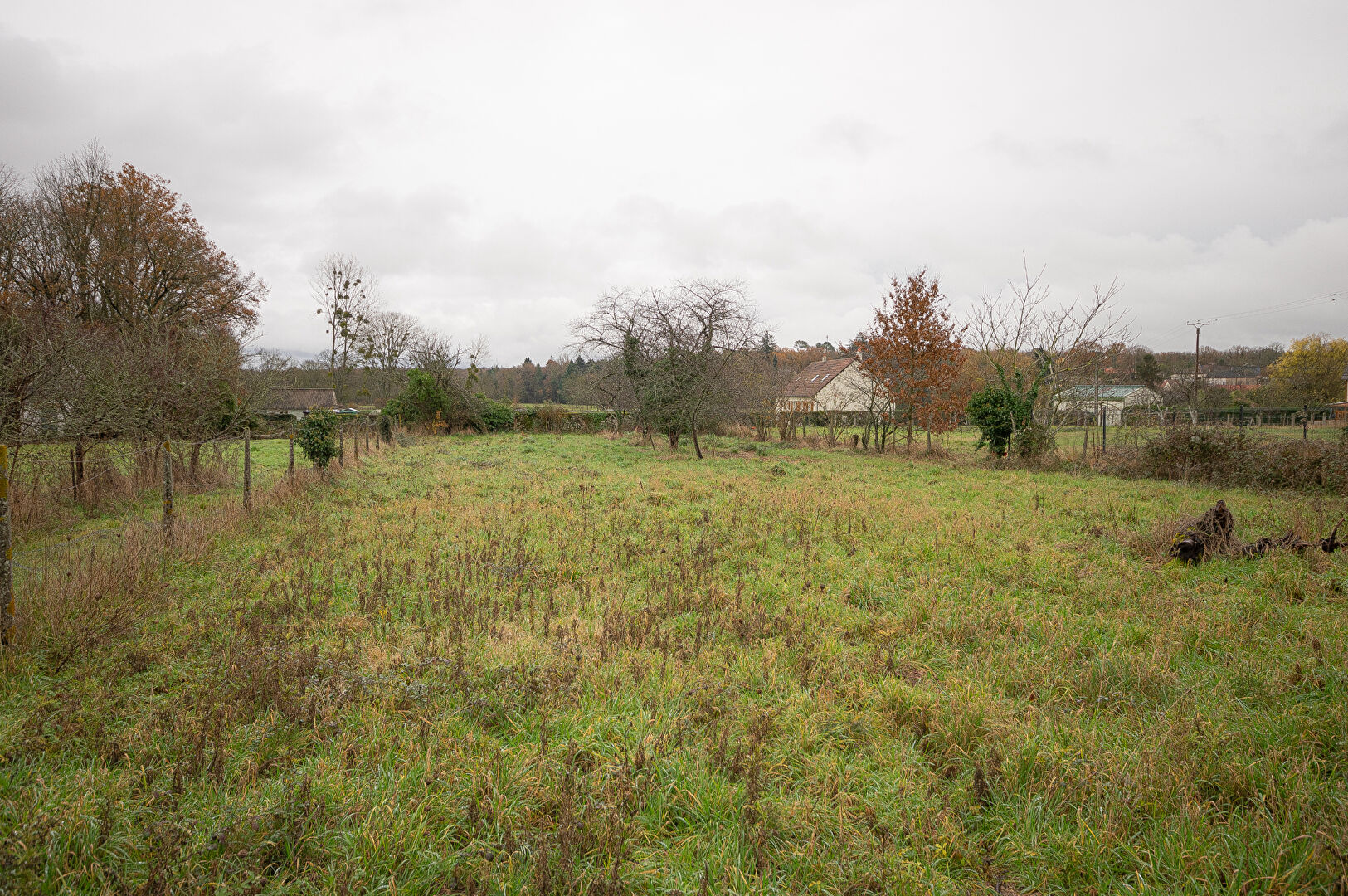 Photo Terrain  1056 m2 image 4/4