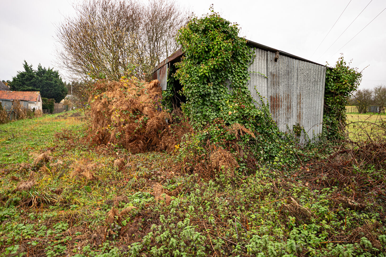 Photo Terrain Dun Le Poelier 1520 m2 image 3/4