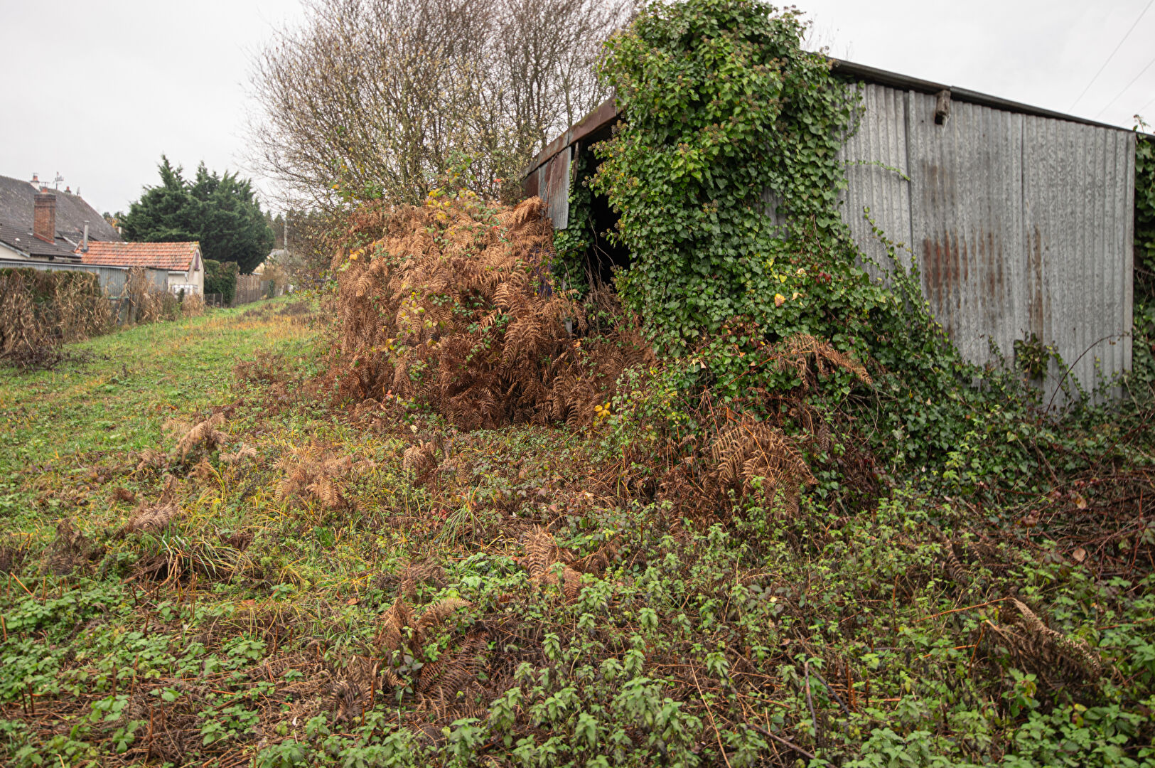 Photo Terrain Dun Le Poelier 1520 m2 image 4/4