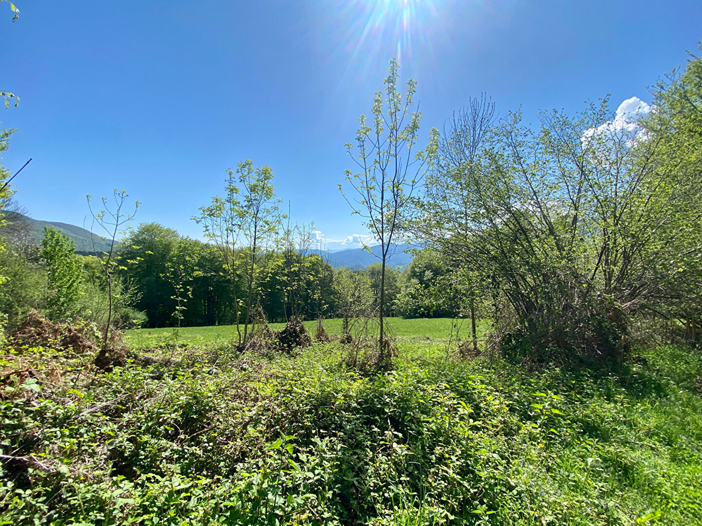 Photo Bergerie de 170m2 sur les hauteurs de Galey image 3/5