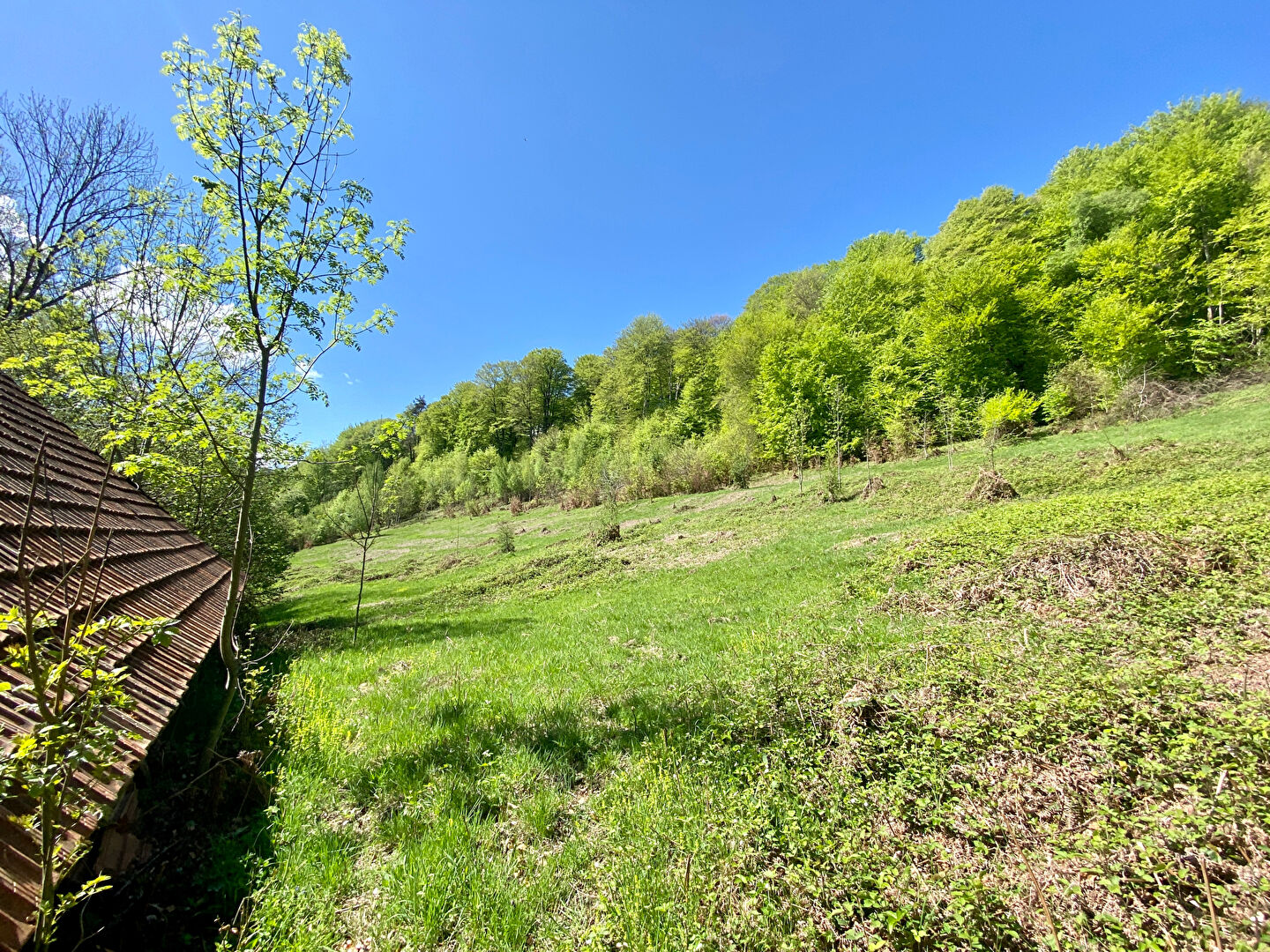 Photo Bergerie de 170m2 sur les hauteurs de Galey image 5/5