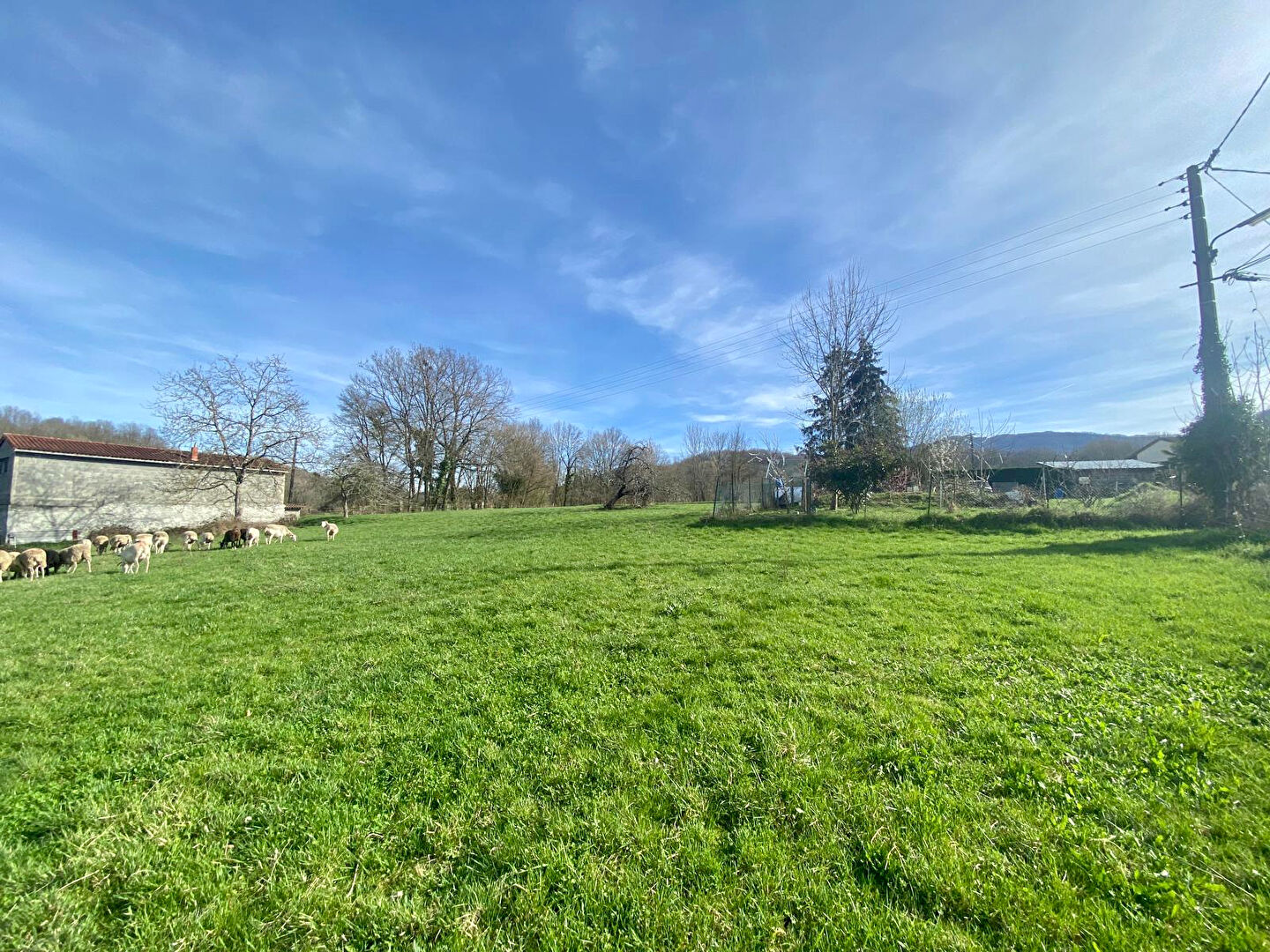 Photo Terrain Prat-bonrepaux 2517 m2 image 2/4