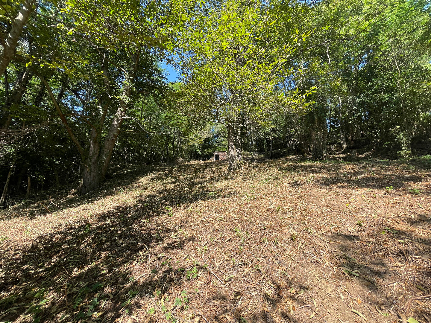 Photo Beau terrain constructible à Rabat-les-Trois-Seigneurs image 2/5