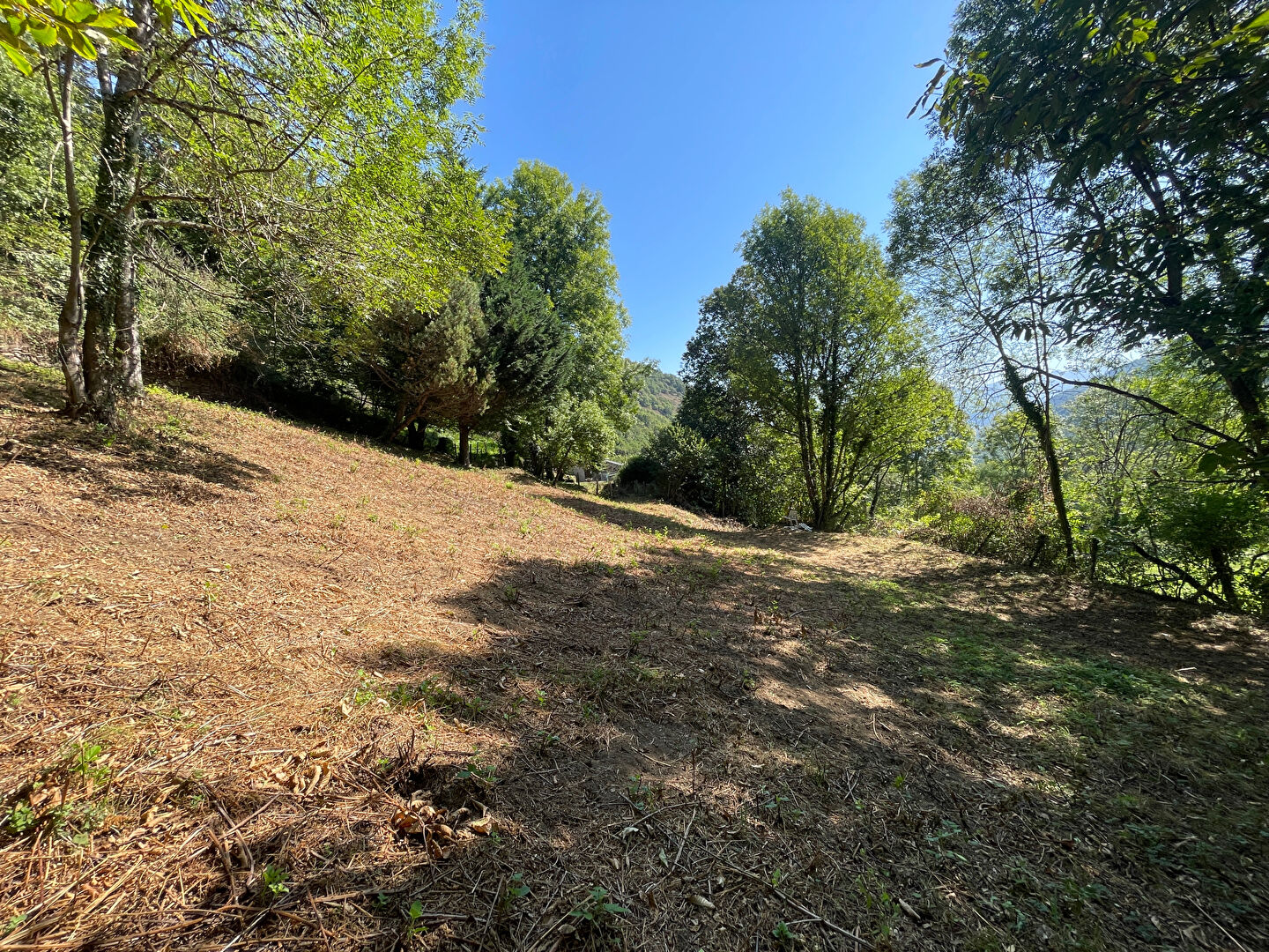 Photo Beau terrain constructible à Rabat-les-Trois-Seigneurs image 4/5