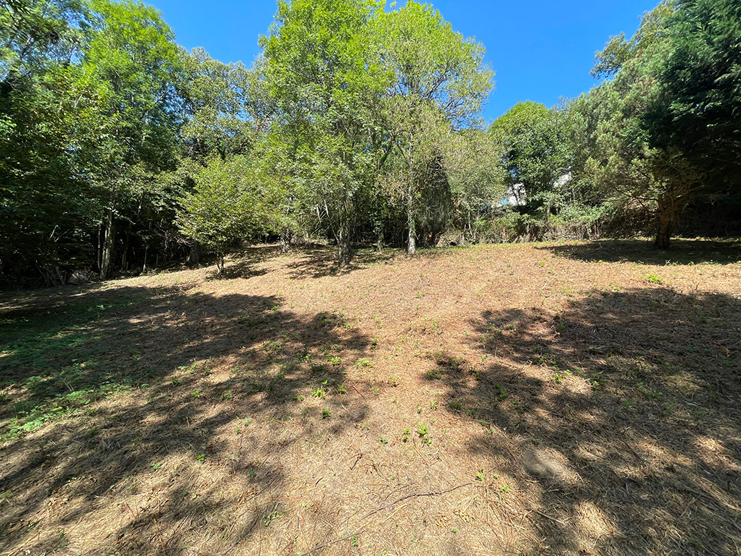 Photo Beau terrain constructible à Rabat-les-Trois-Seigneurs image 5/5