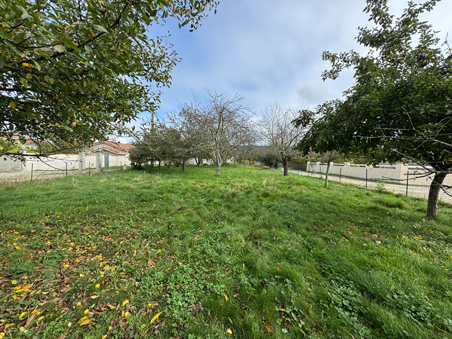 Photo Terrain constructible a Lorp-Sentaraille image 2/4