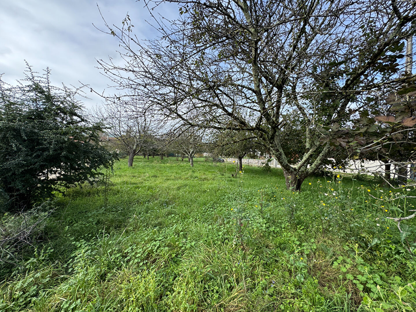 Photo Terrain constructible a Lorp-Sentaraille image 3/4