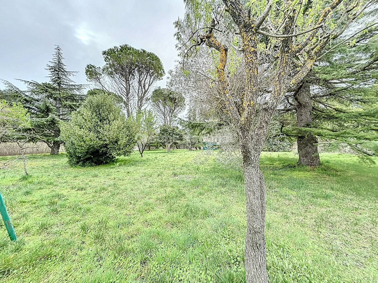 Photo Maison  5 pièce(s)  3 Chambres 150 m2 image 2/6