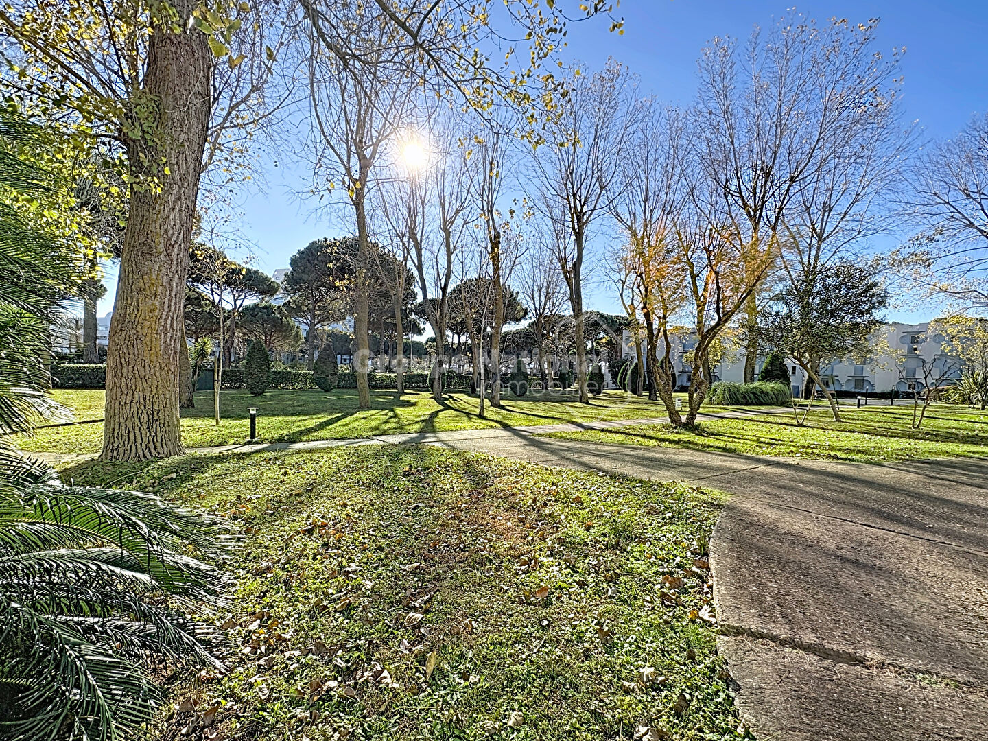 Photo Appartement La Grande Motte 4 pièce(s) 87 m2, 2 Chambres, SDB, Place de parking image 2/6