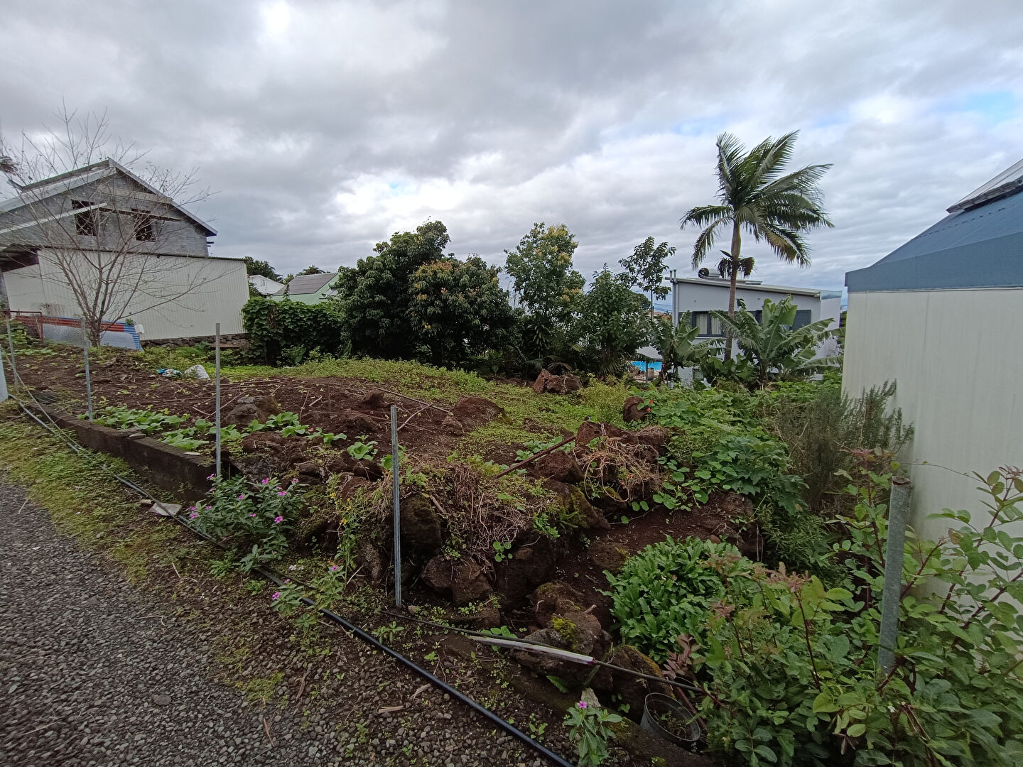 Photo TERRAIN 252 M² / JEAN PETIT image 1/3