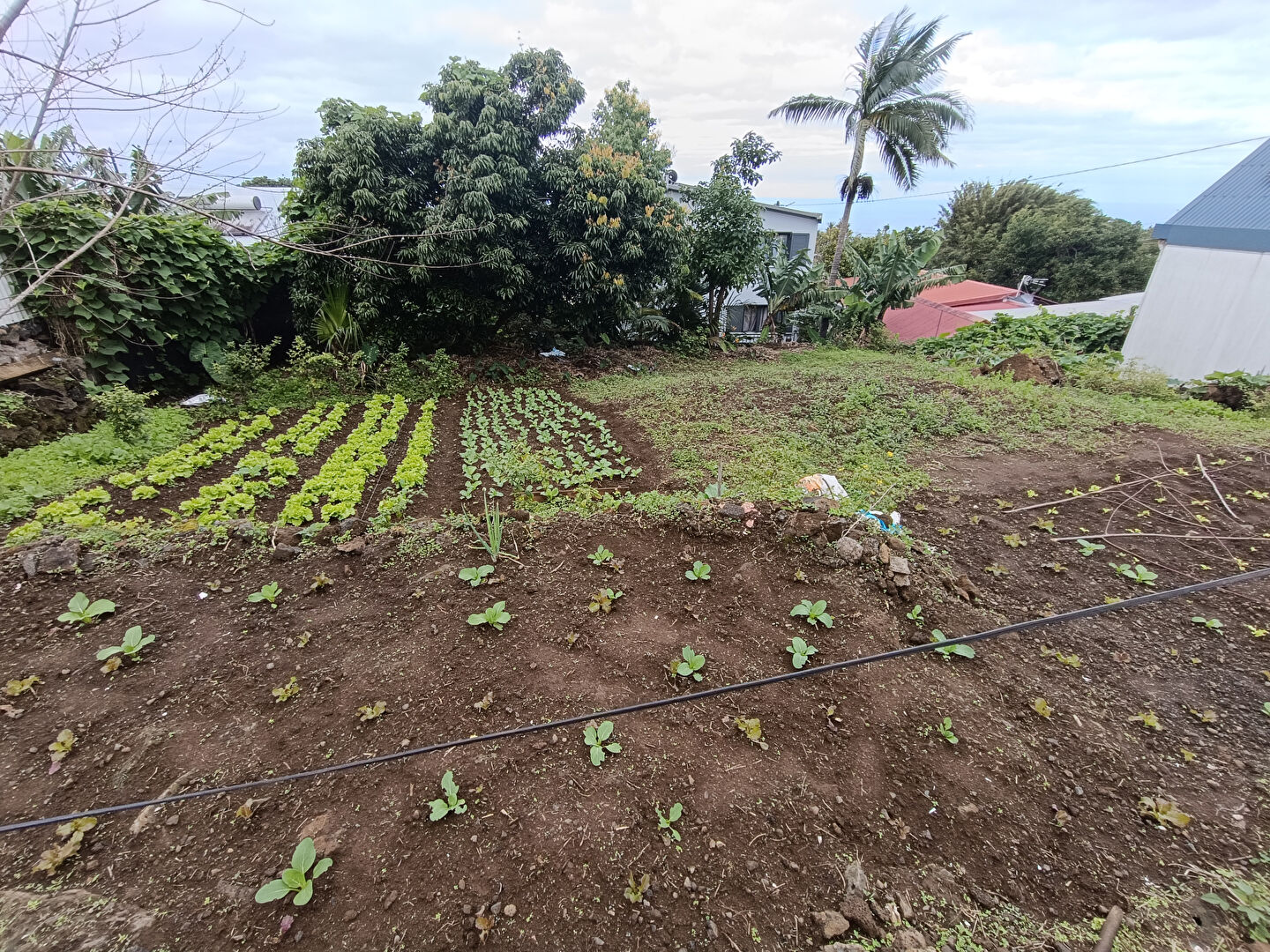 Photo TERRAIN 252 M² / JEAN PETIT image 3/3