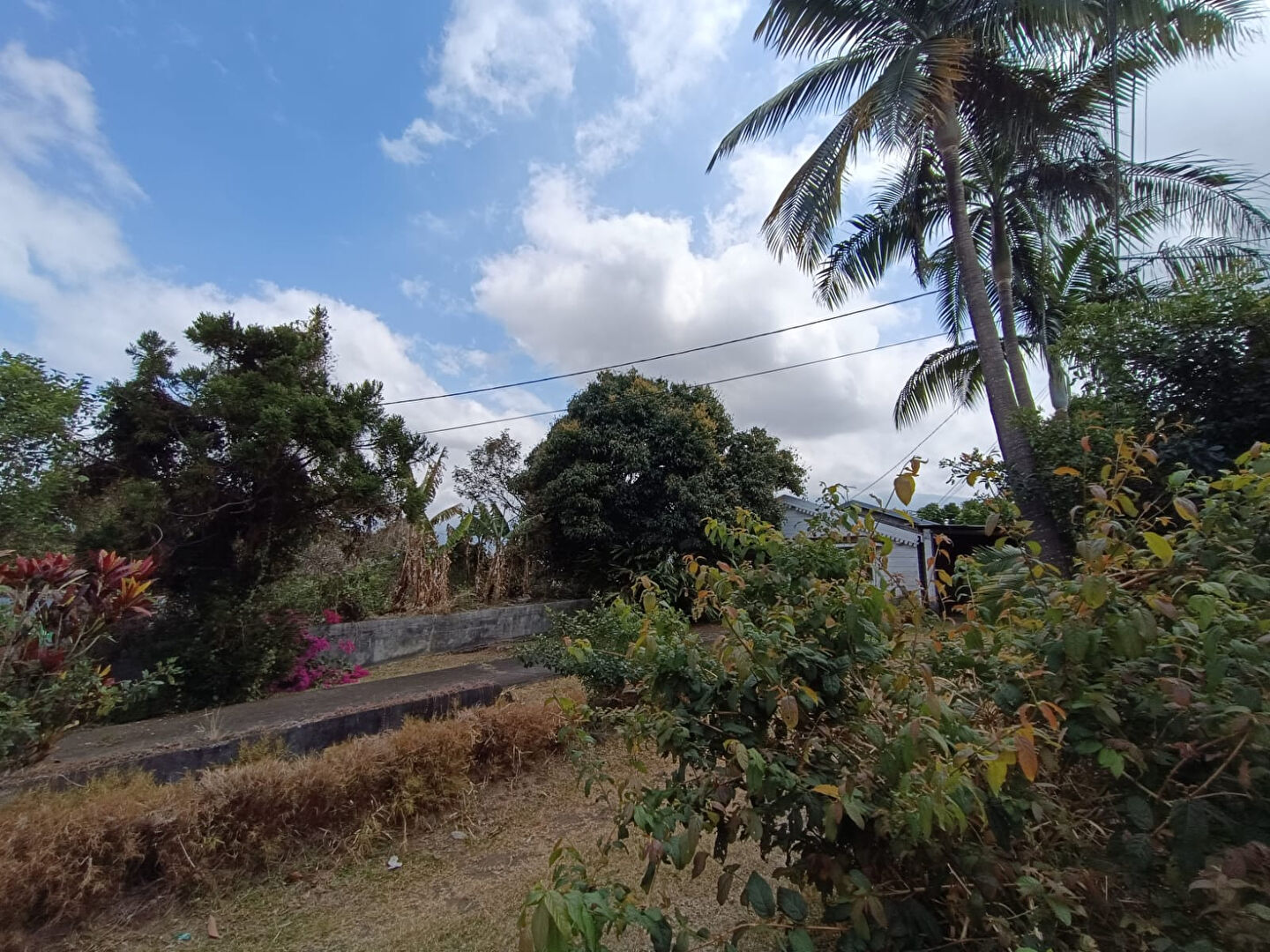 Photo Appartement Le Tampon image 4/6