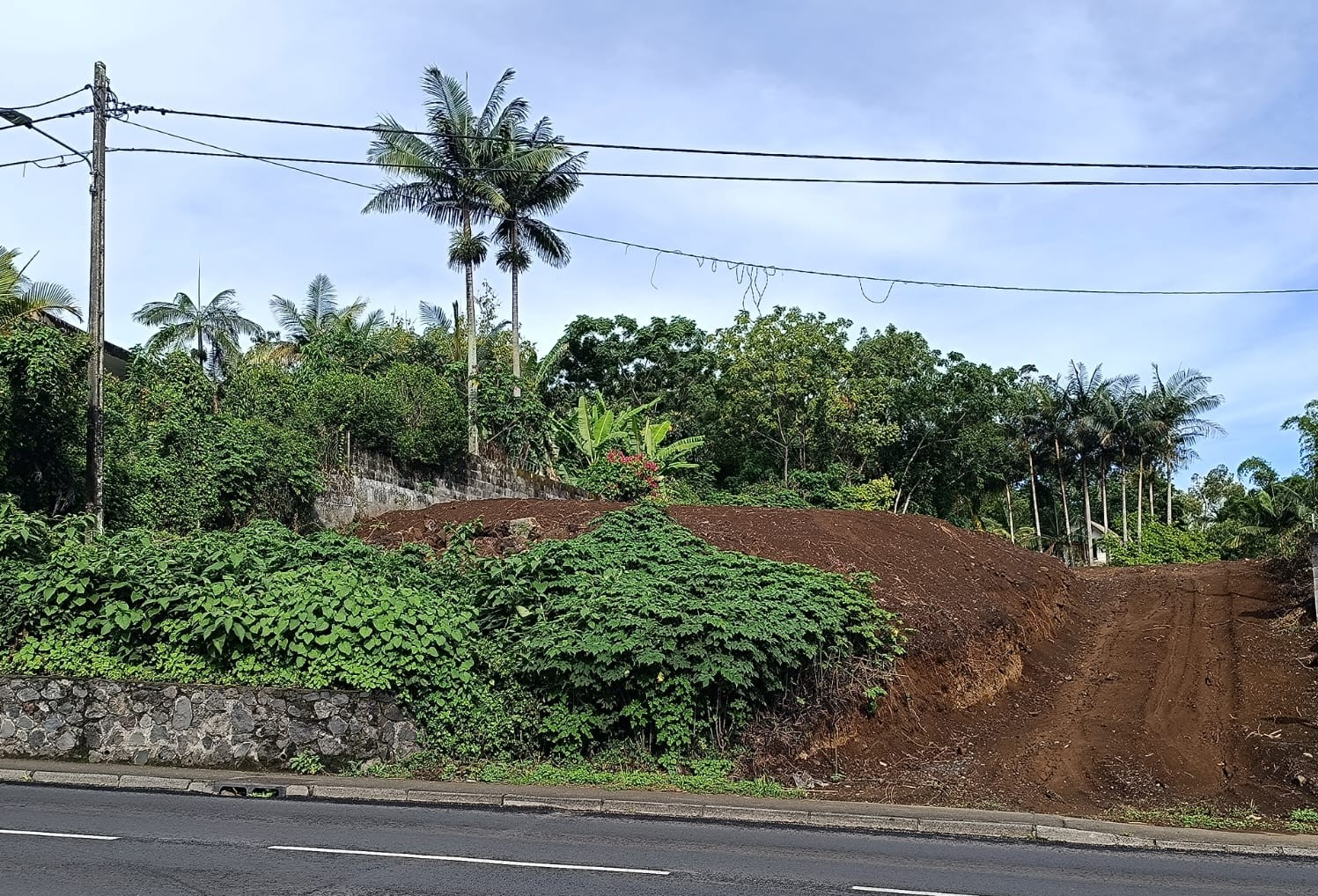 TAMPON 14EME / TERRRAIN  A BATIR DE 662 M²