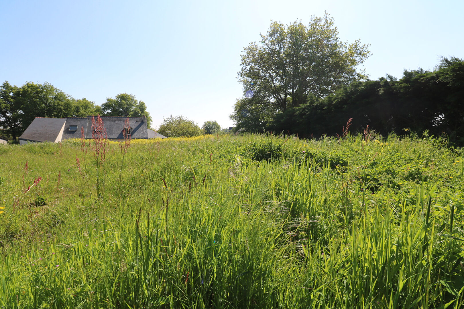Photo Terrains constructibles - Murs Erigné : HORS LOTISSEMENT image 4/6