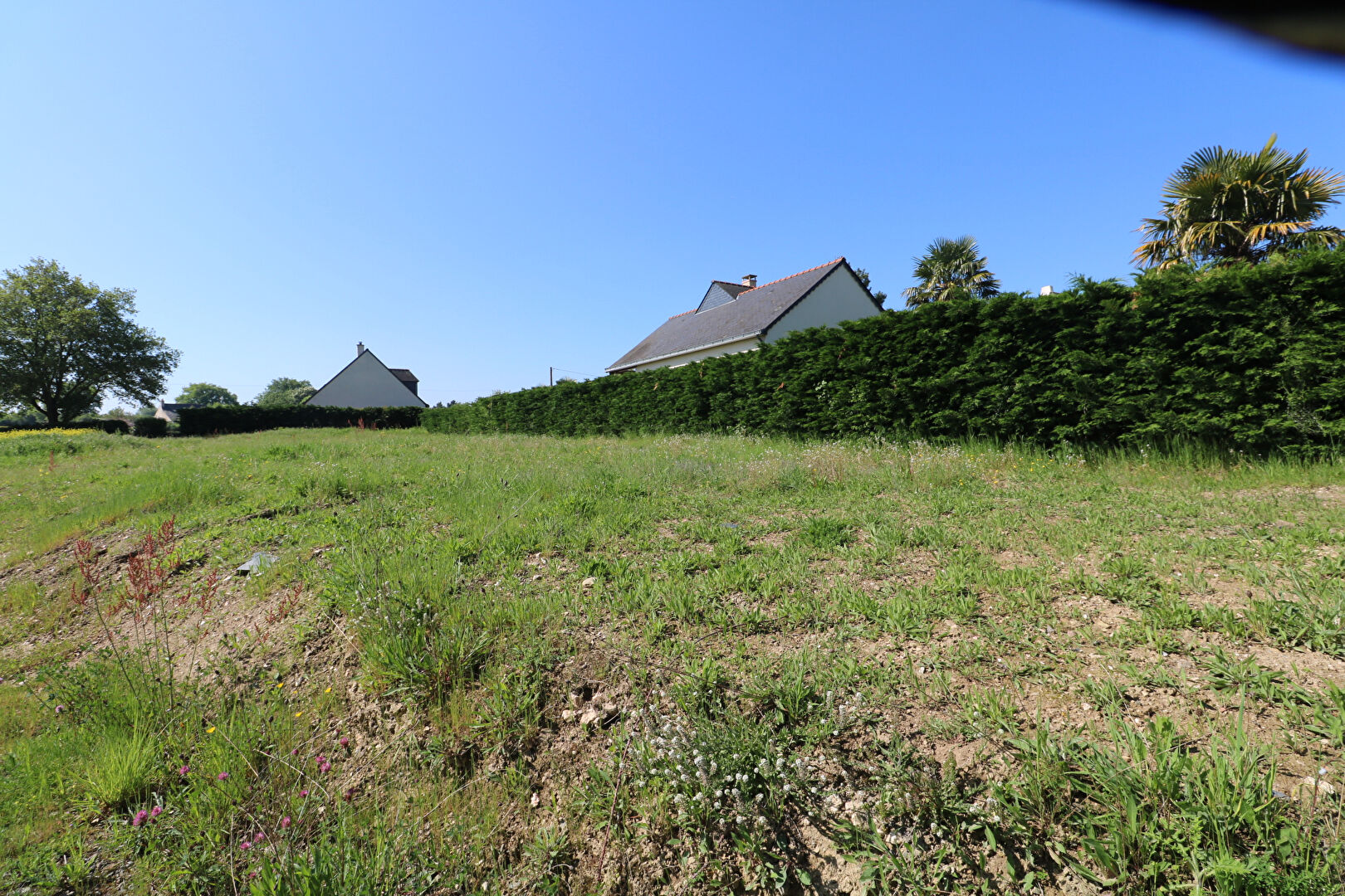 Photo Terrains constructibles - Murs Erigné : HORS LOTISSEMENT image 5/6
