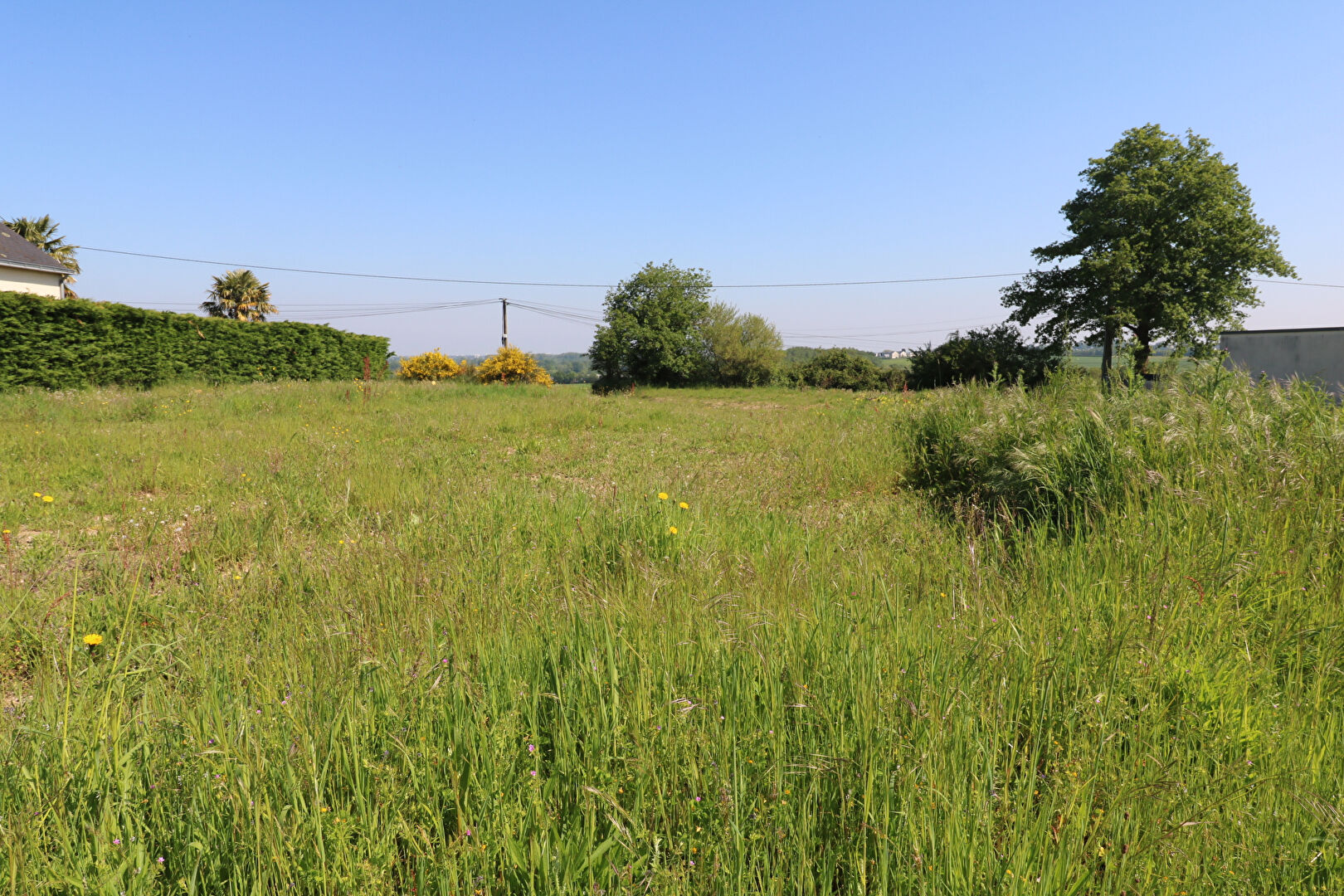 Terrains constructibles - Murs Erigné : HORS LOTISSEMENT