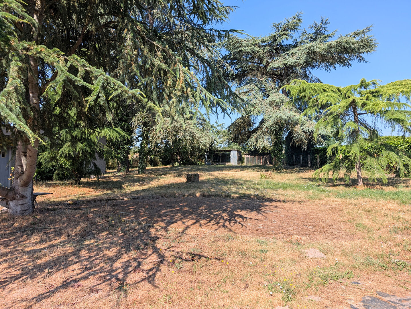 Agence immobilière de Victor CARME Angers - LES ARENES