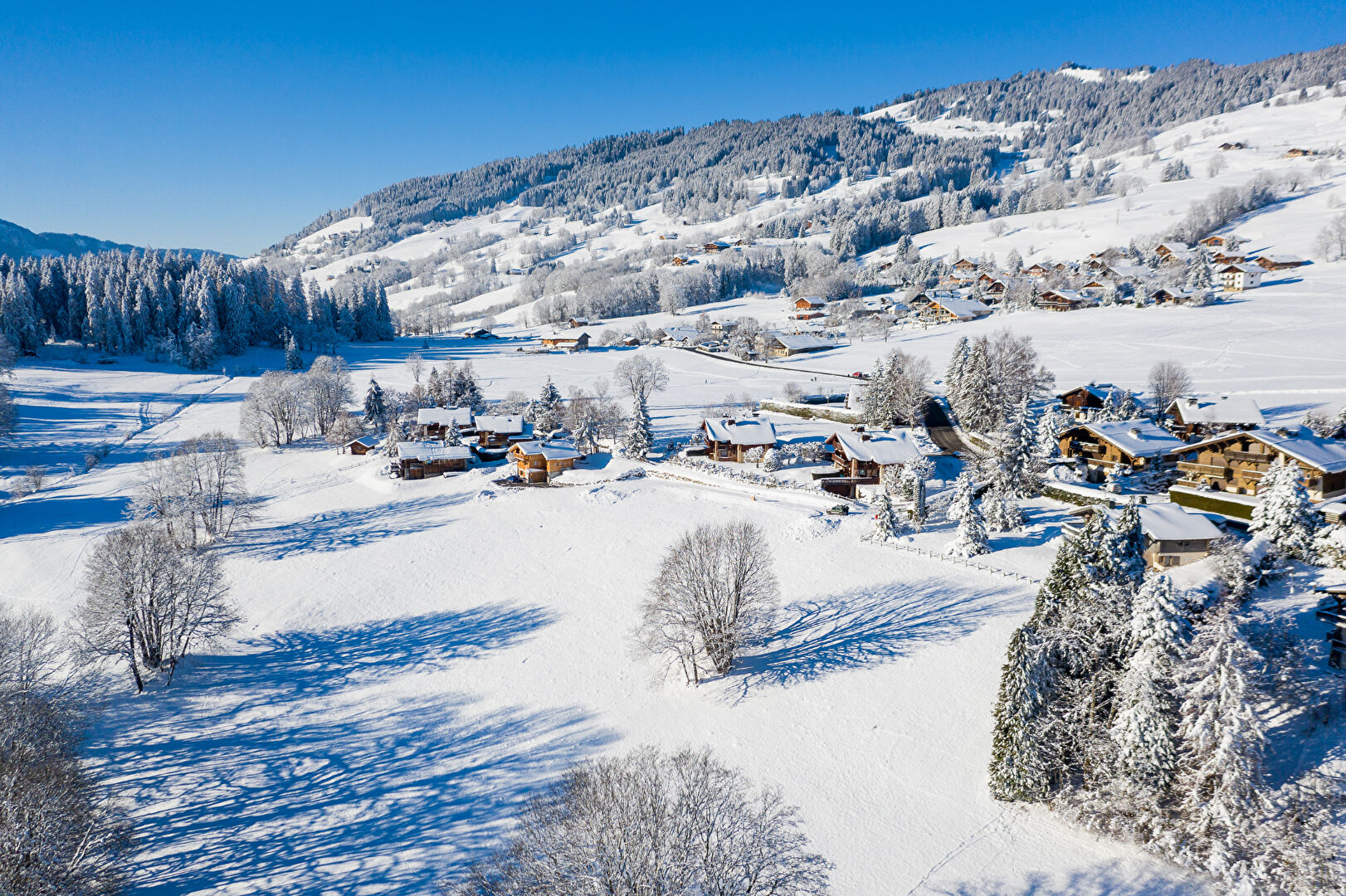 Photo Chalet Megève 11 pièces 435 m2 image 3/3