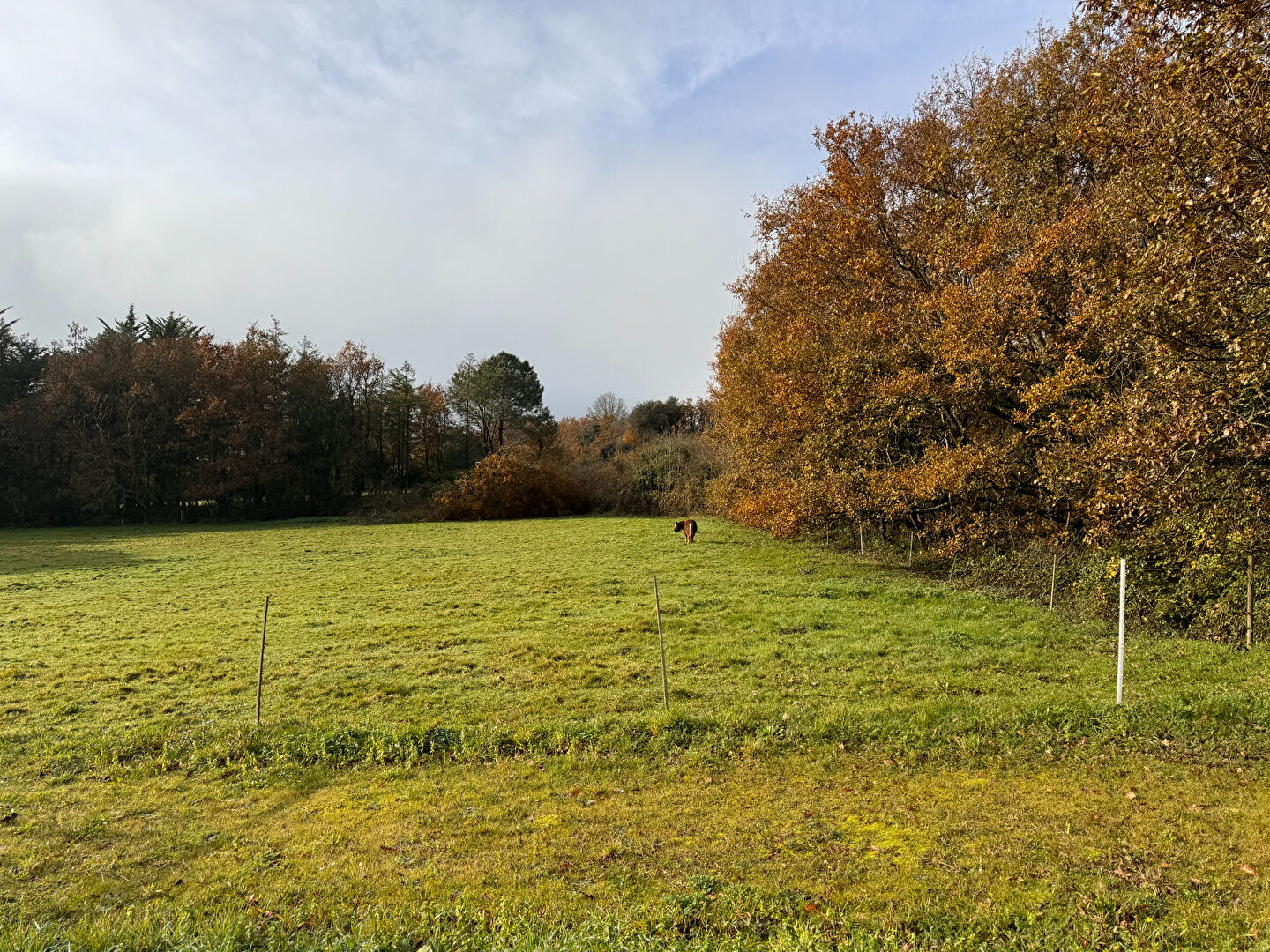 image
Terrain de loisirs à Vairé - 5583 m2 -